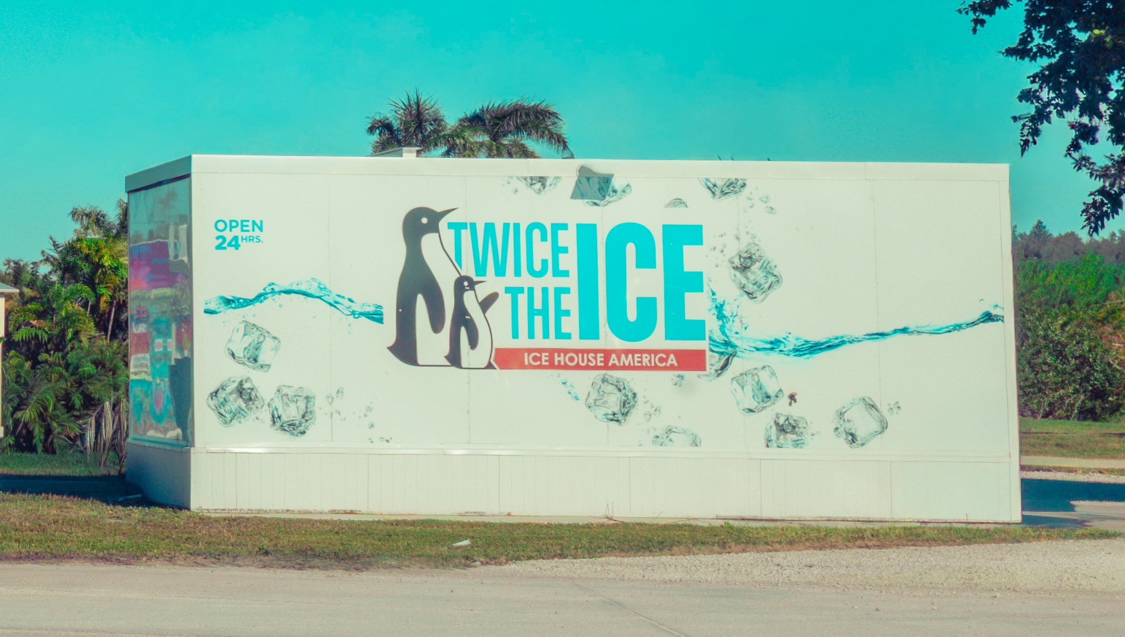 Pine Island / Machala. Out and About 239