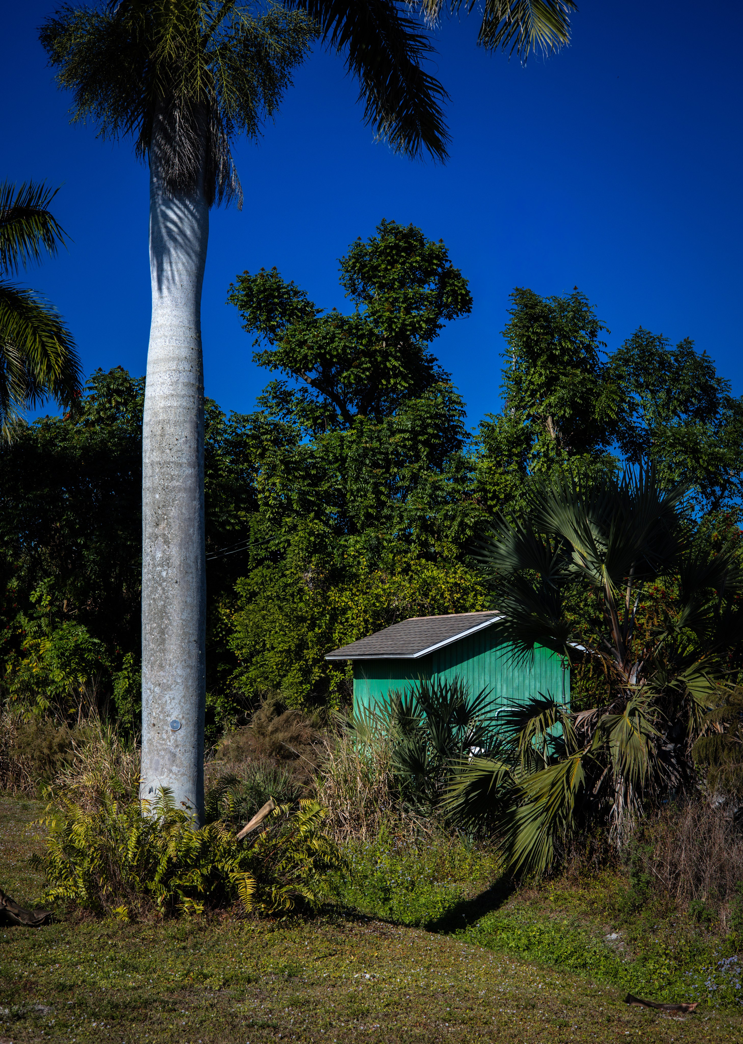 Pine Island / Machala. Out and About 239
