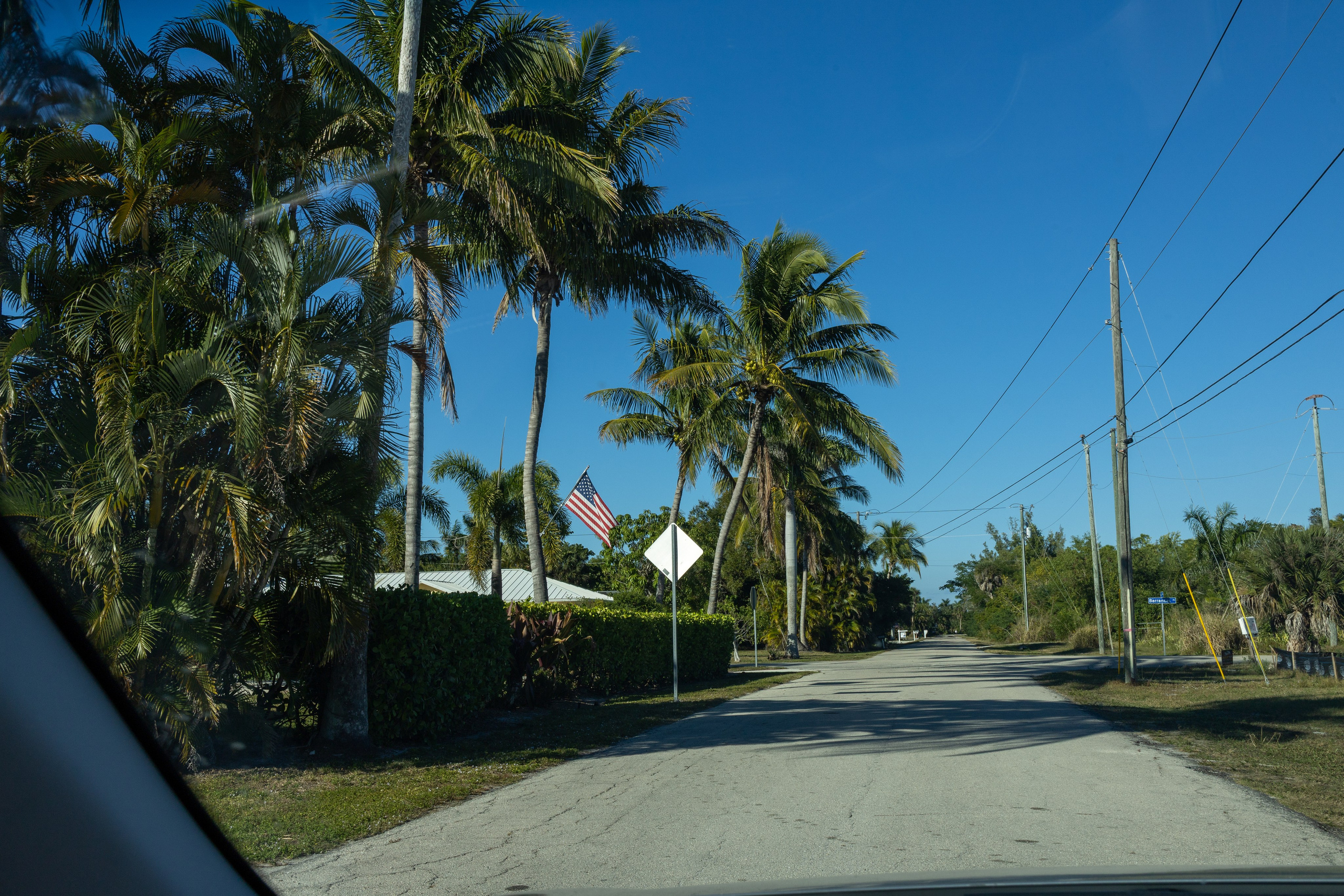 Pine Island / Machala. Out and About 239