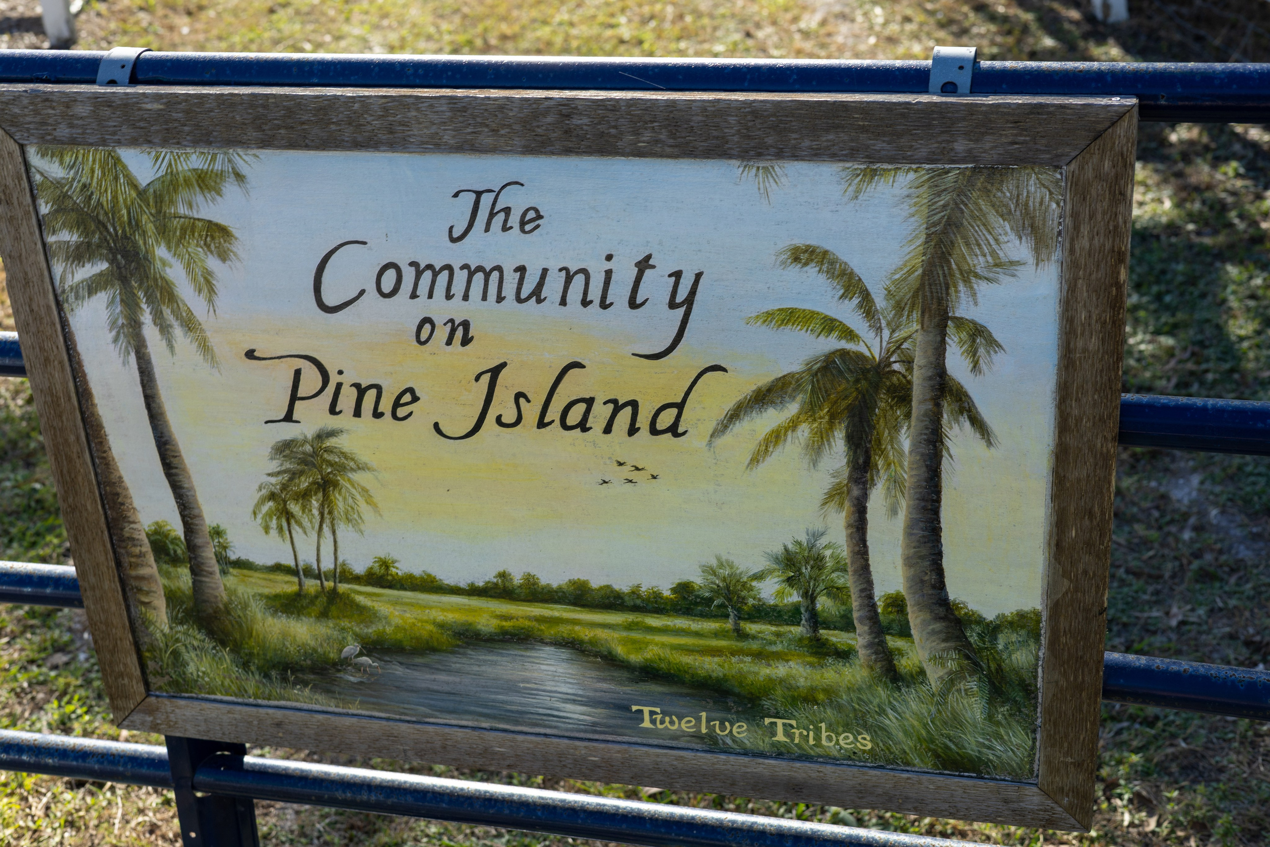 Pine Island / Machala. Out and About 239