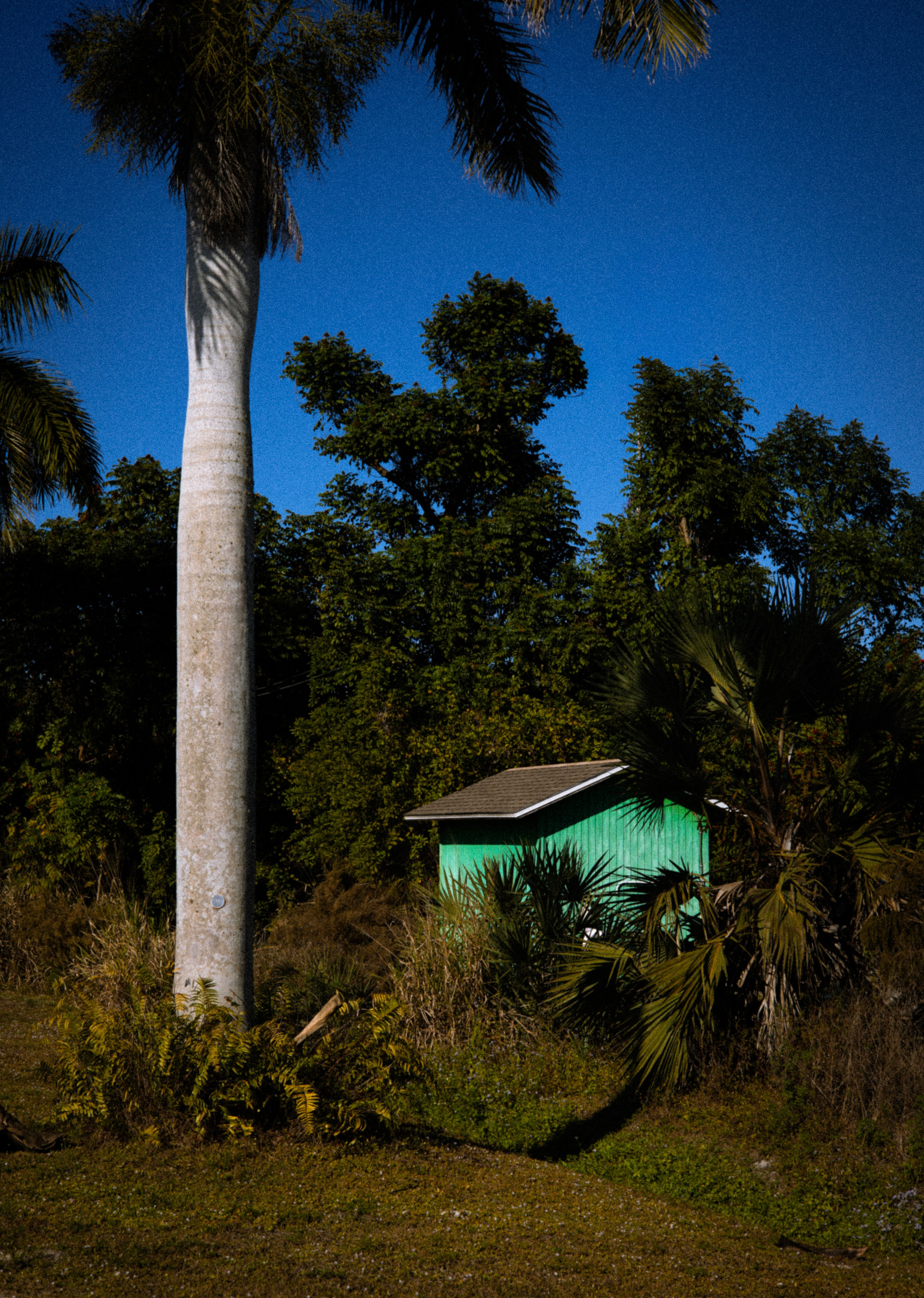 Pine Island / Machala. Out and About 239