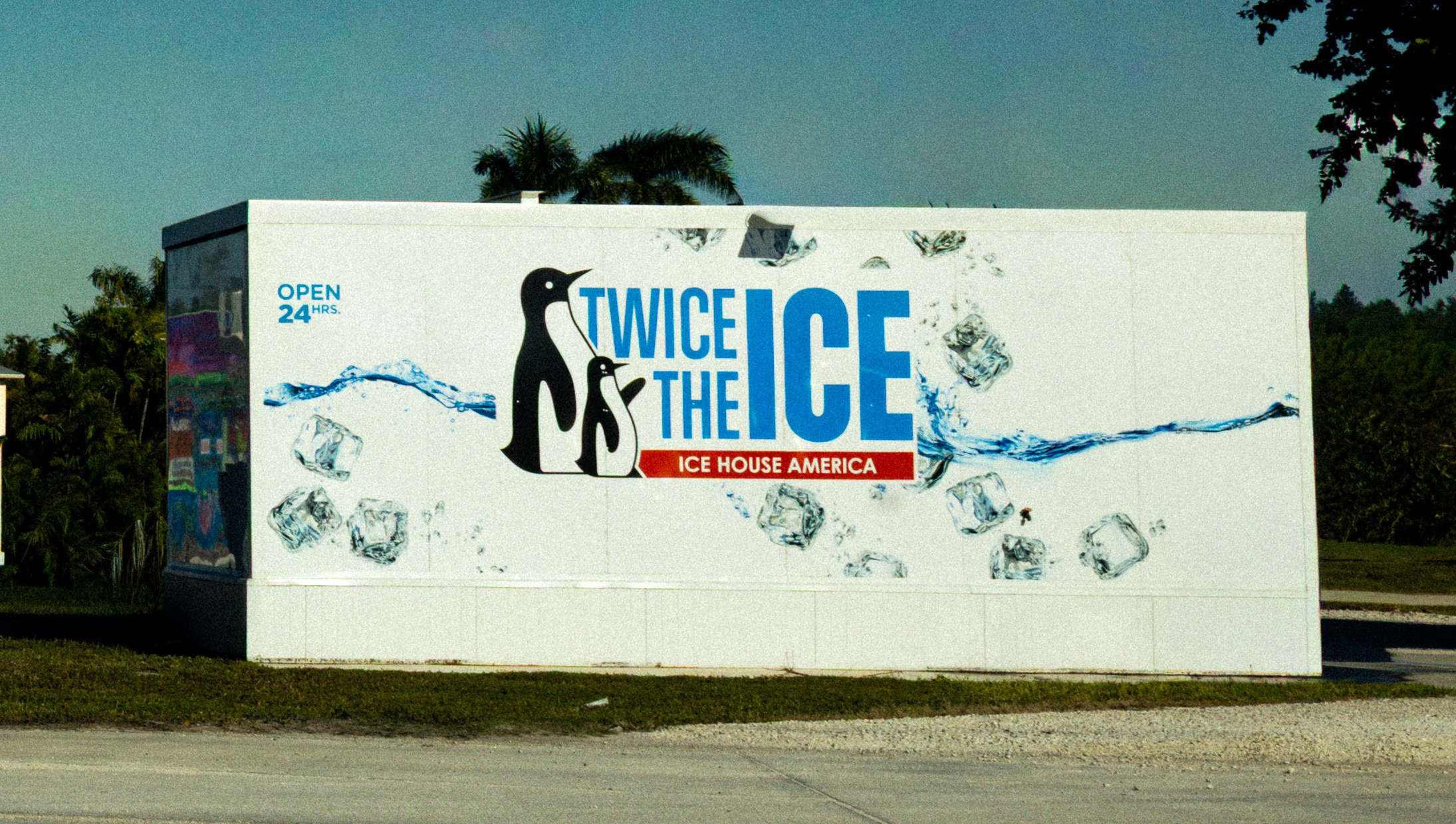 Pine Island / Machala. Out and About 239