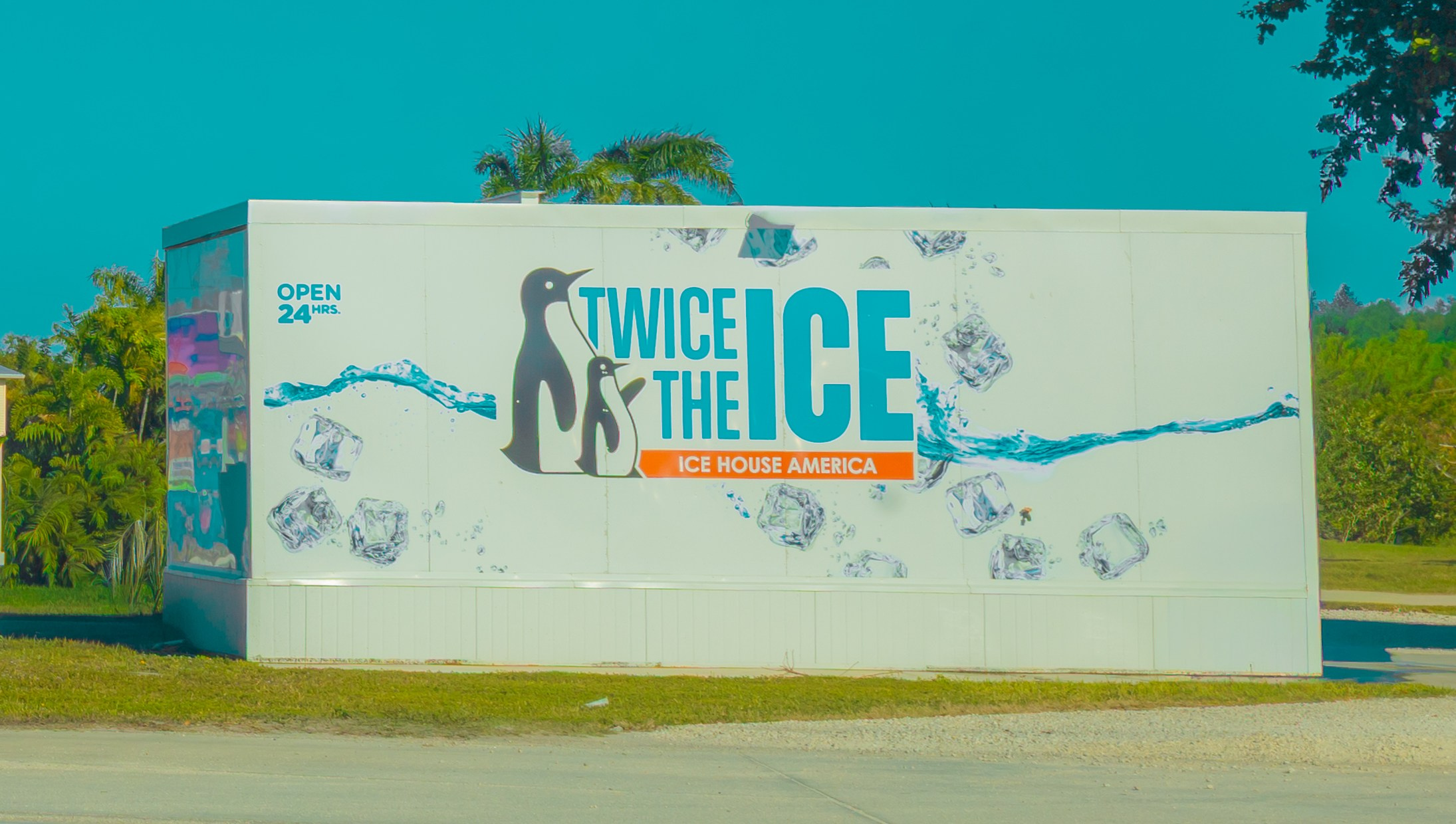 Pine Island / Machala. Out and About 239