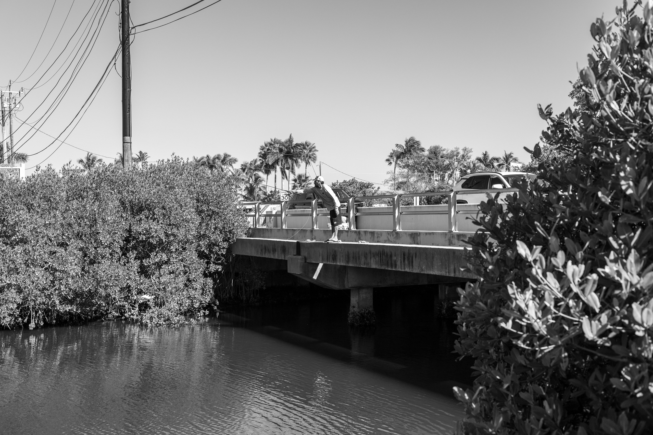 Pine Island / Machala. Out and About 239