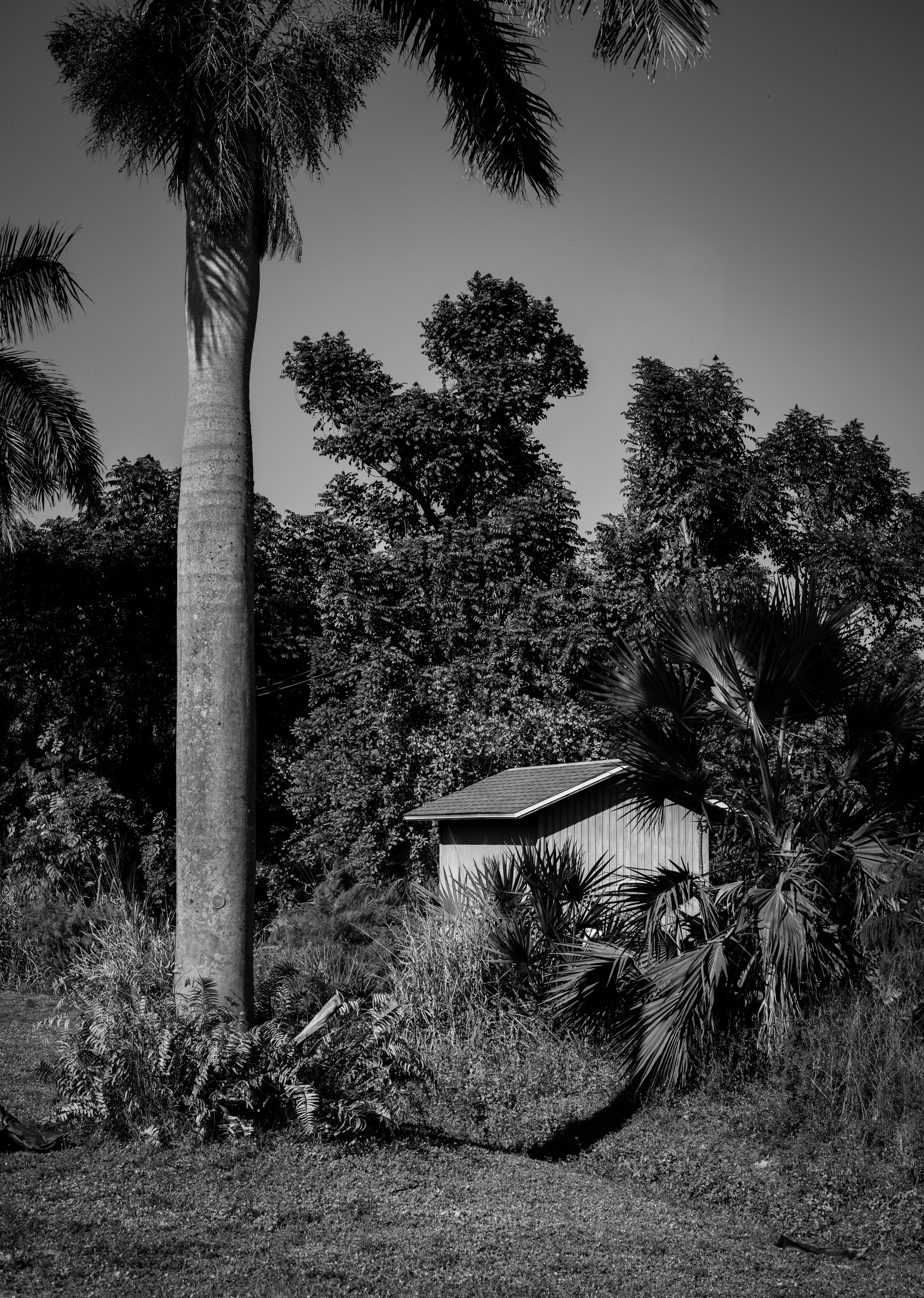 Pine Island / Machala. Out and About 239
