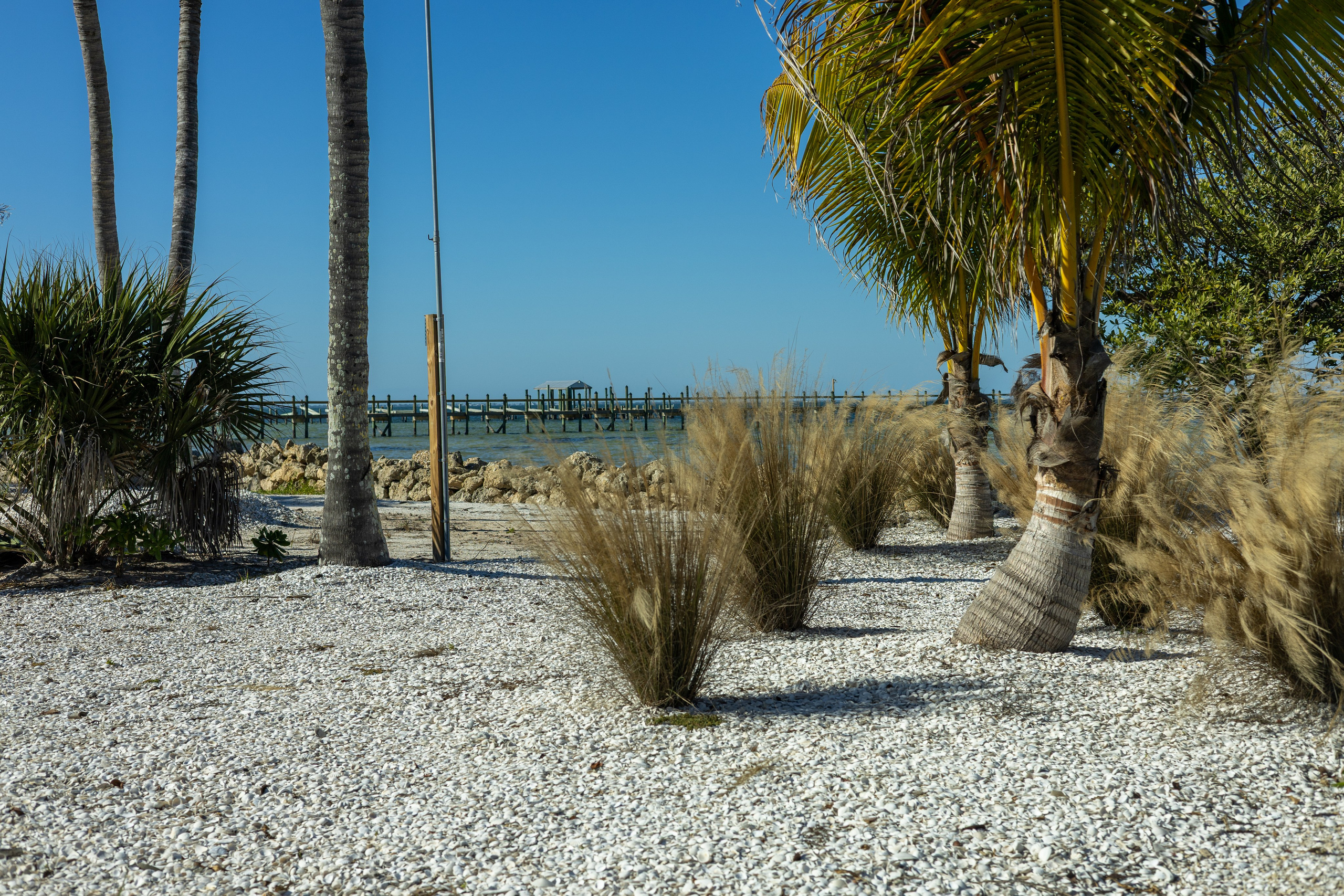 Pine Island / Machala. Out and About 239