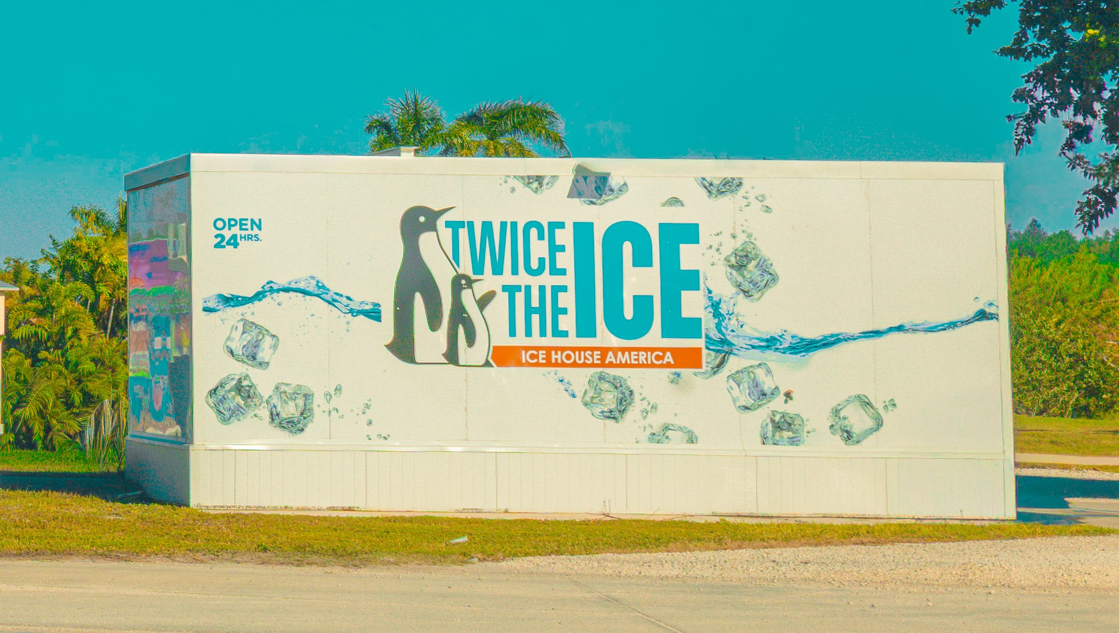 Pine Island / Machala. Out and About 239