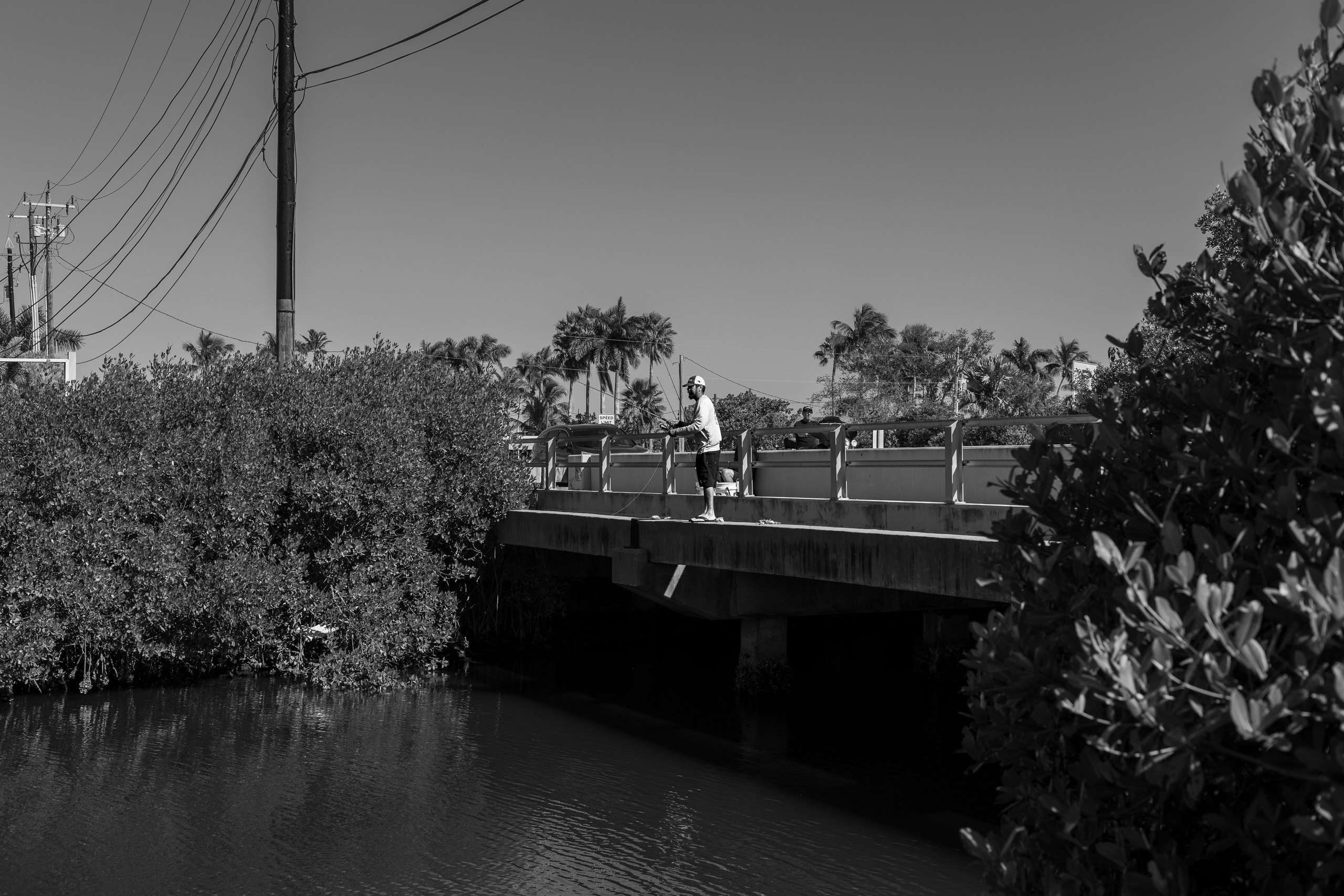 Pine Island / Machala. Out and About 239