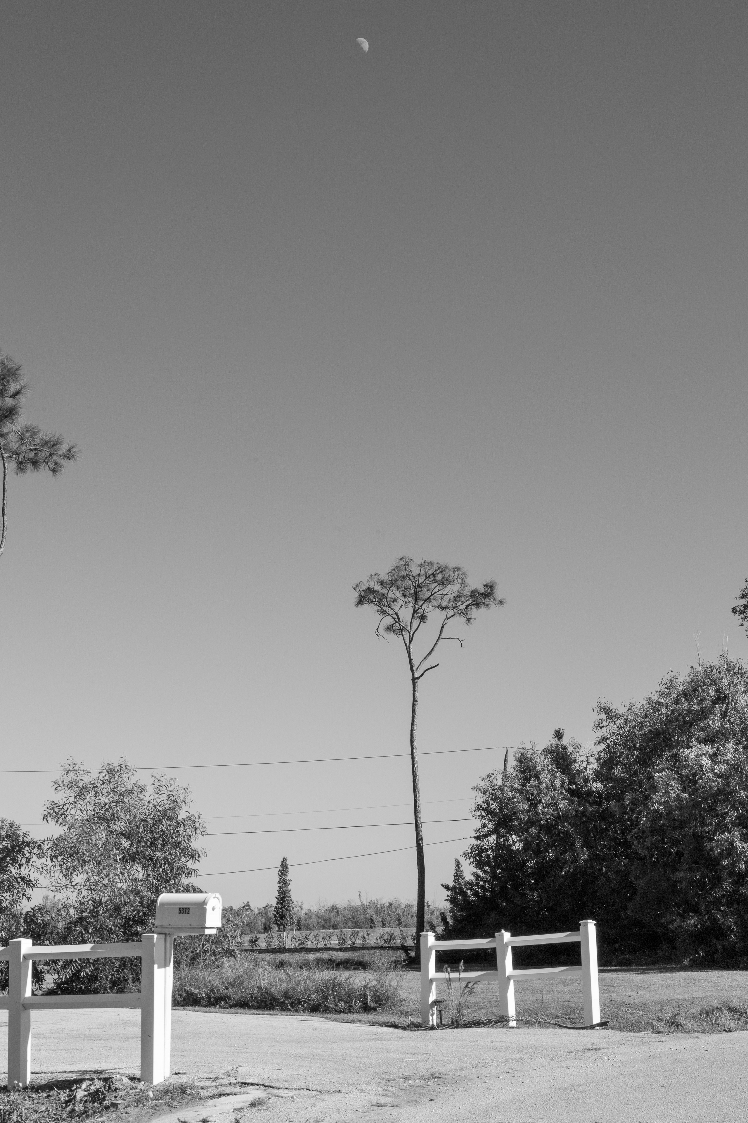 Pine Island / Machala. Out and About 239