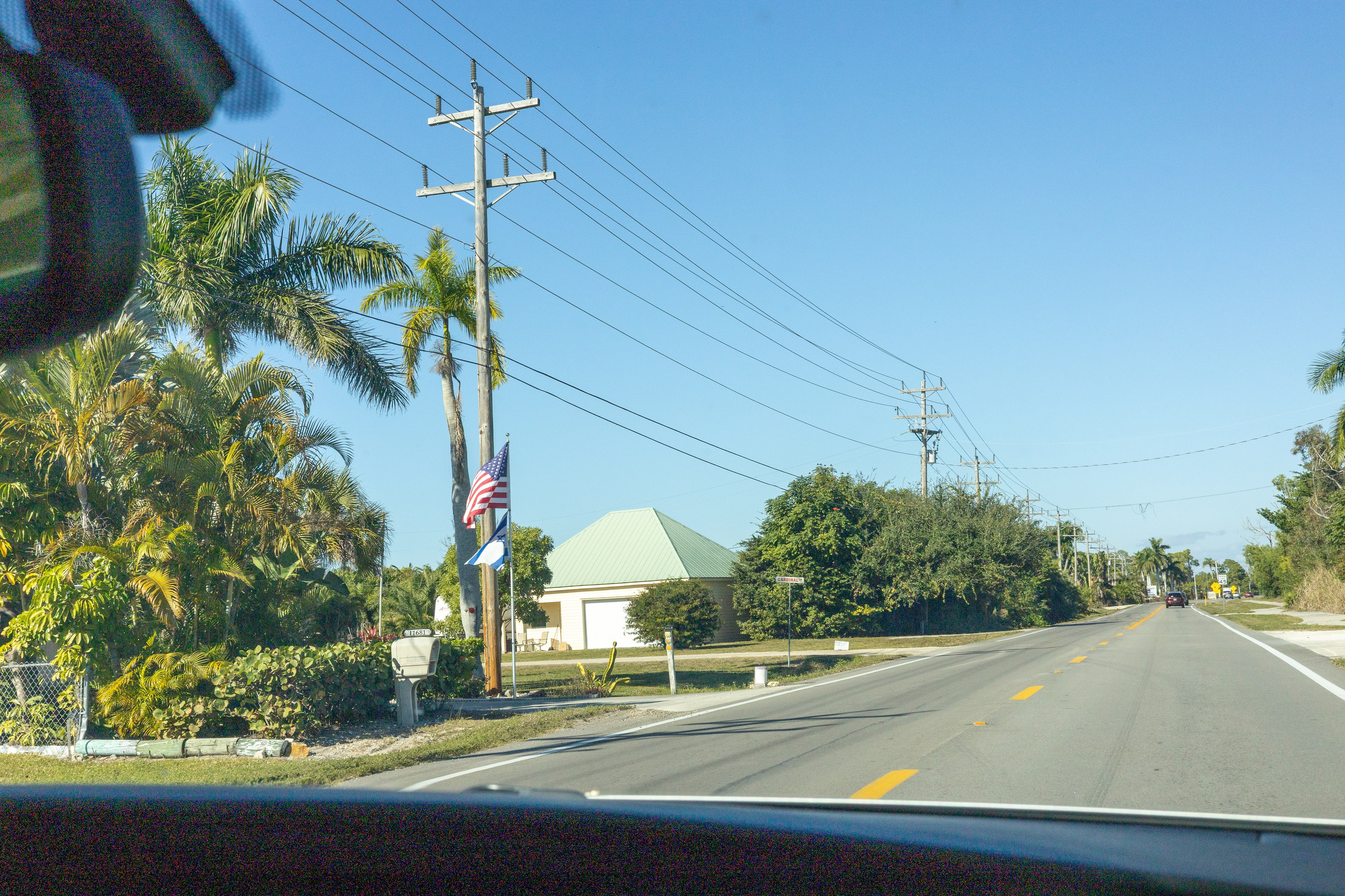 Pine Island / Machala. Out and About 239