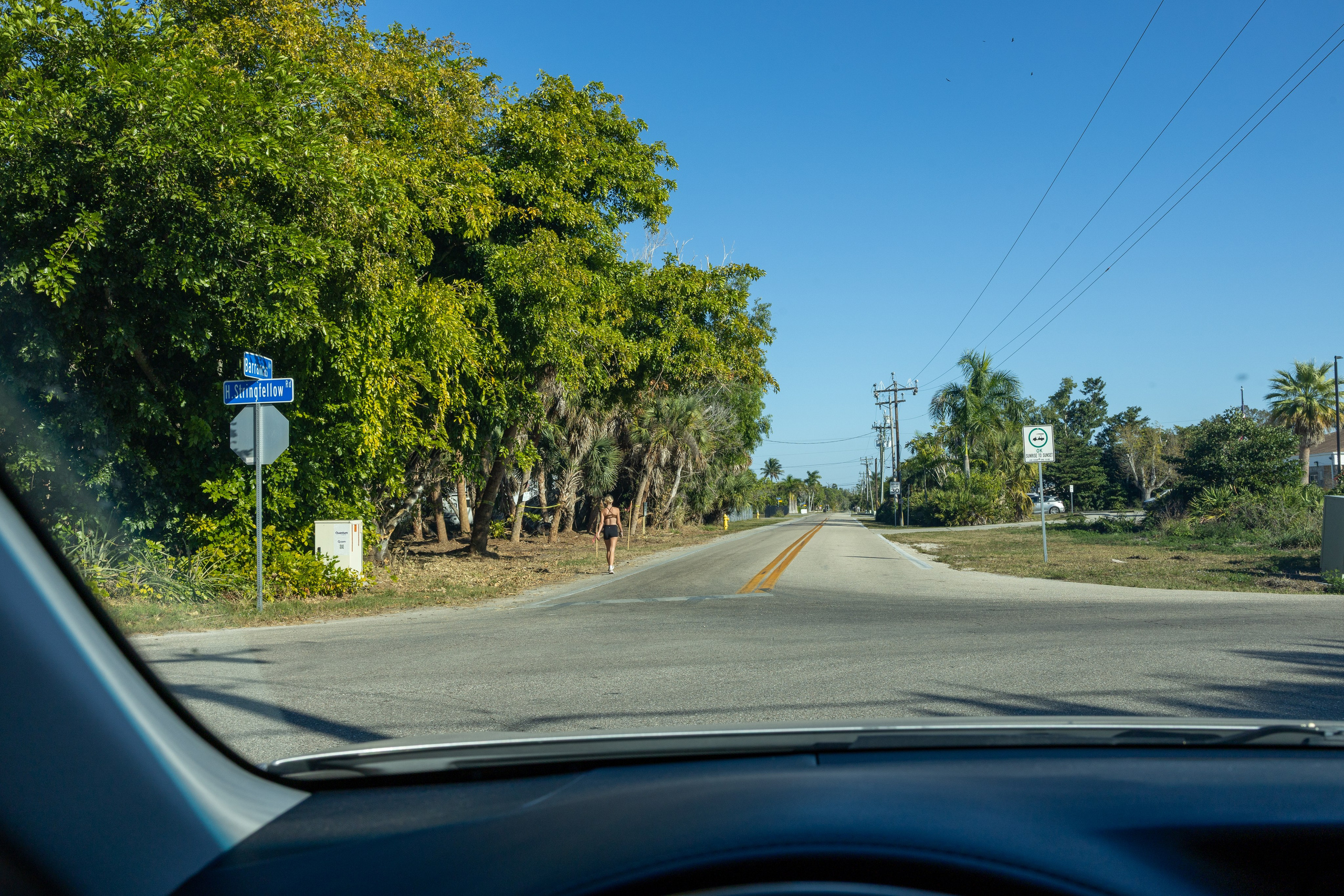 Pine Island / Machala. Out and About 239