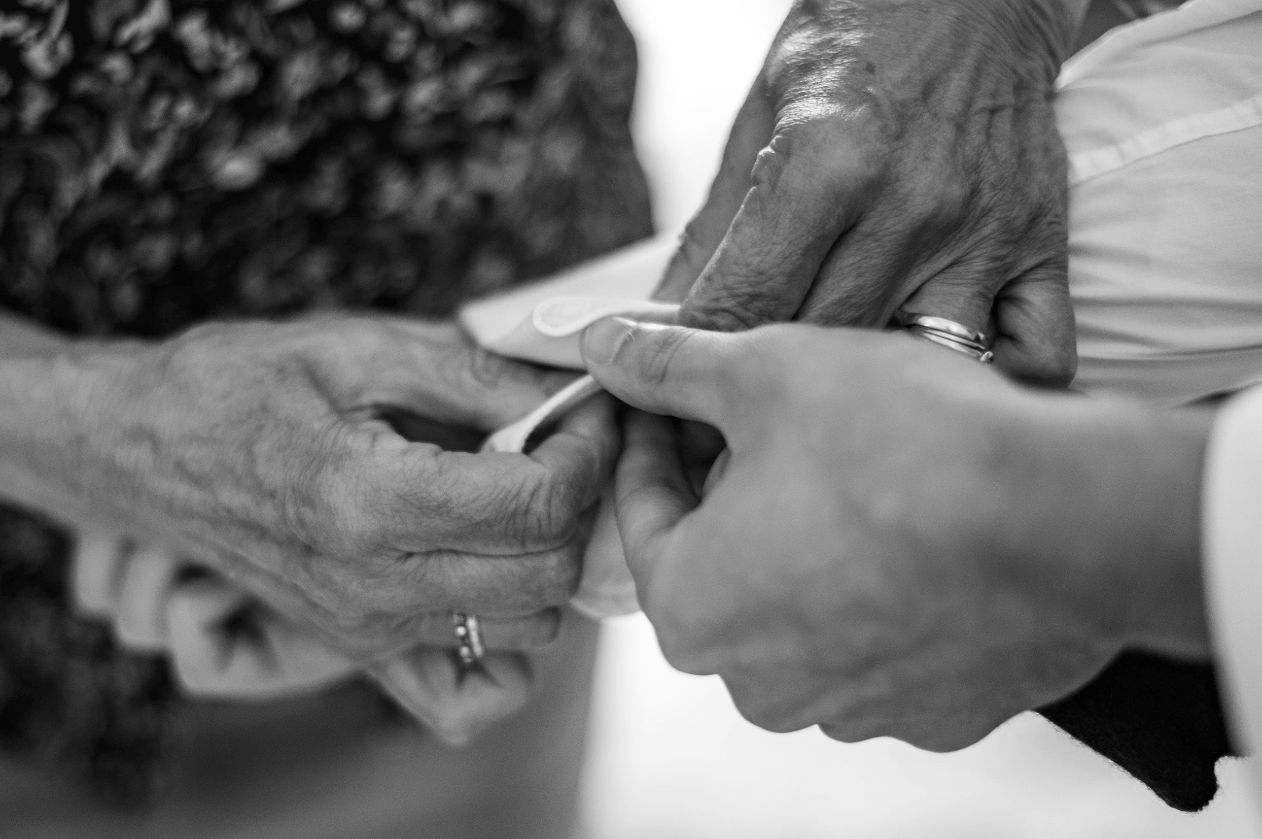 Portfolio. Photographe Mykhaylyk Vladyslav