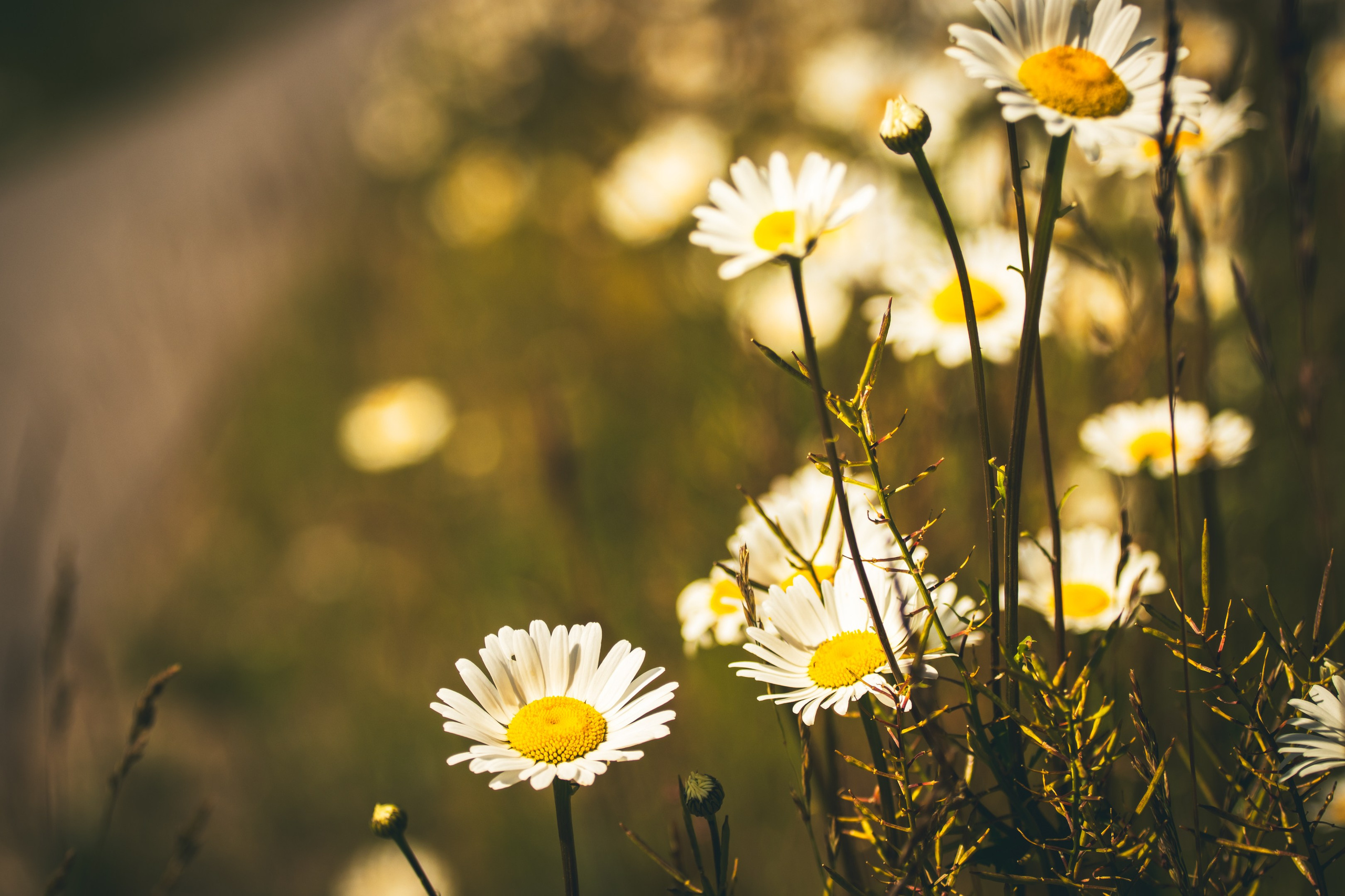 Jalgrattasõit ümbruskonnas. Nebula 25 — Fotod teie hingele
