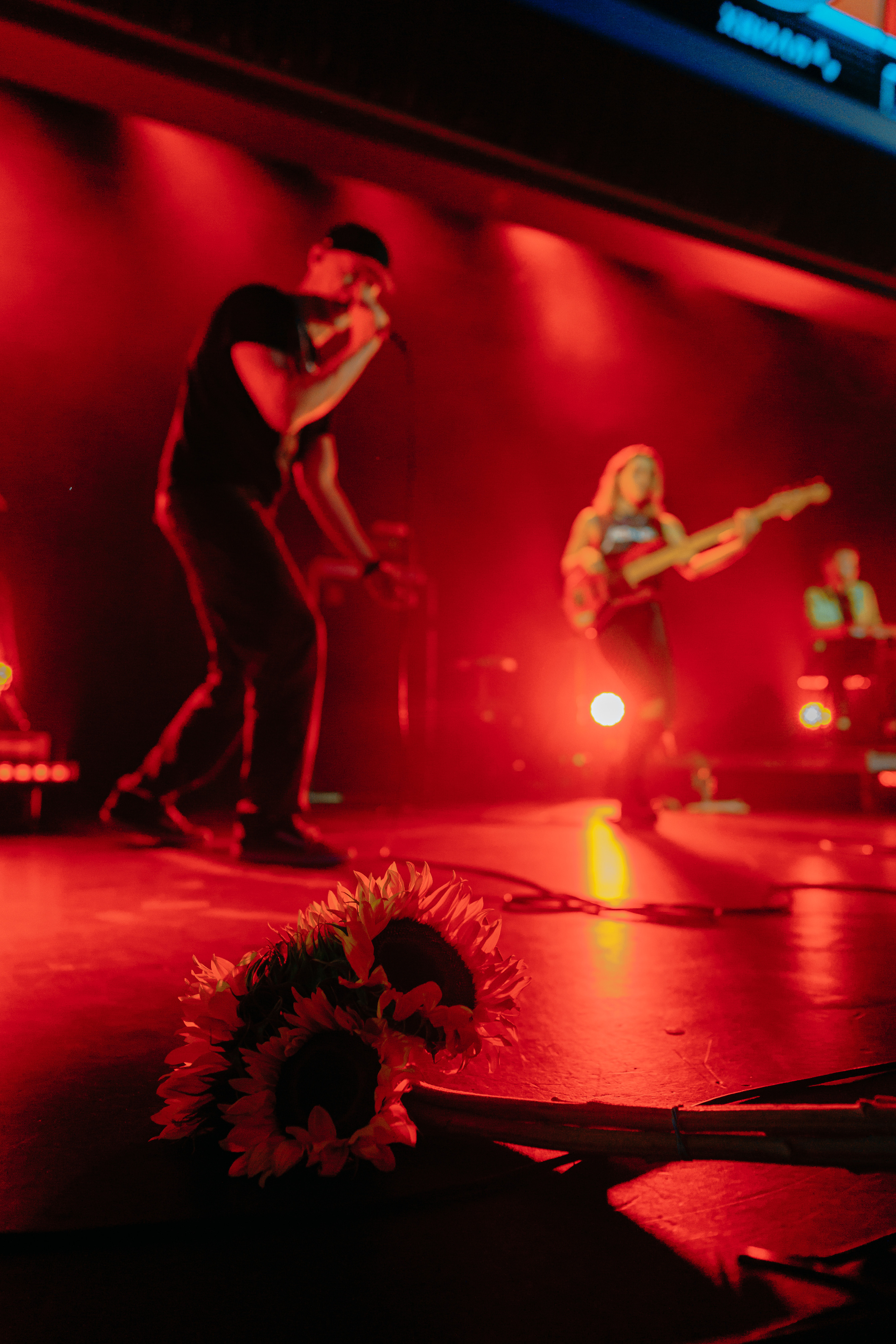 Concert in Miami: БУМБОКС. Professional Photographer in Miami, Florida