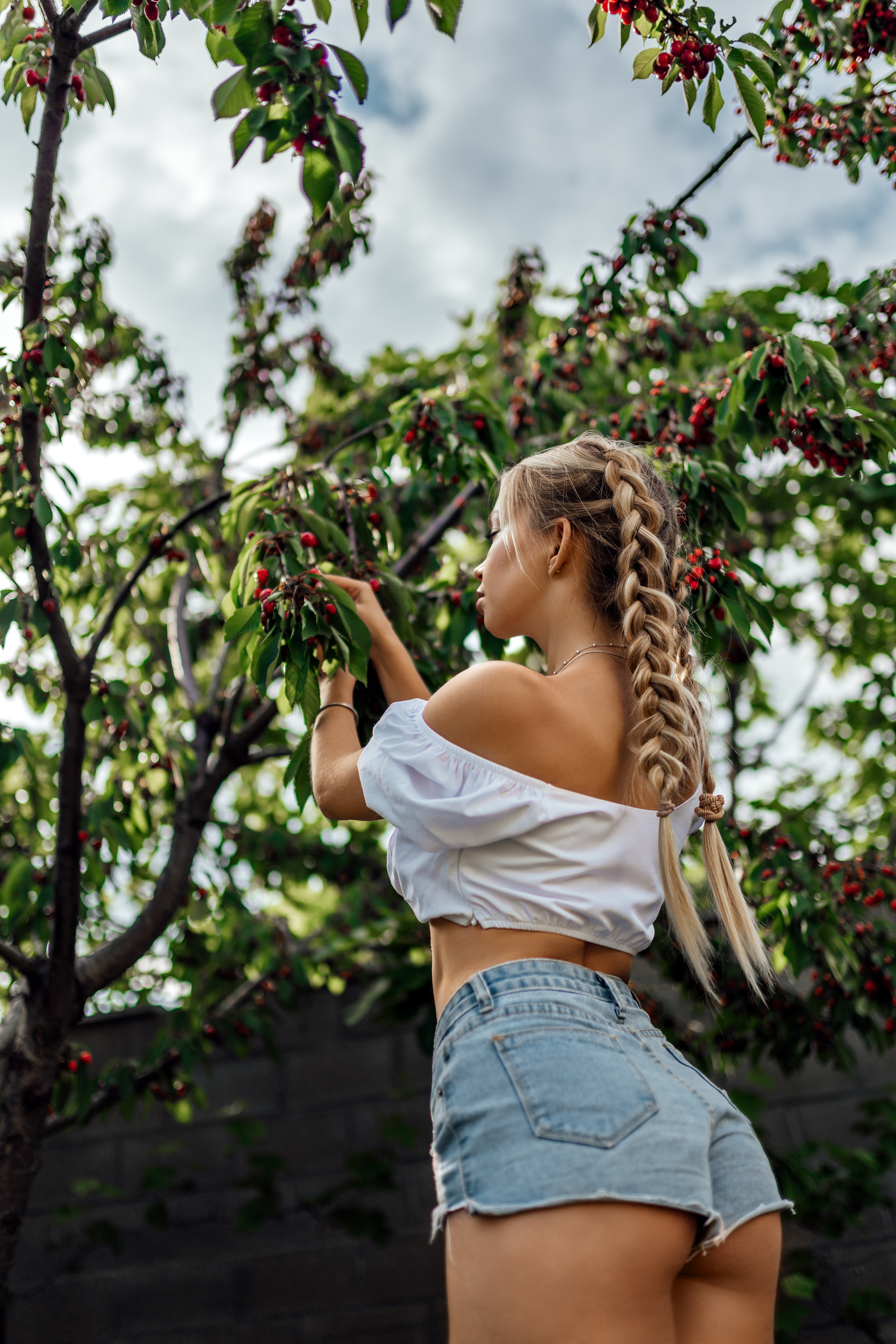 Nika. Cherry garden. Professional Photographer in Miami, Florida