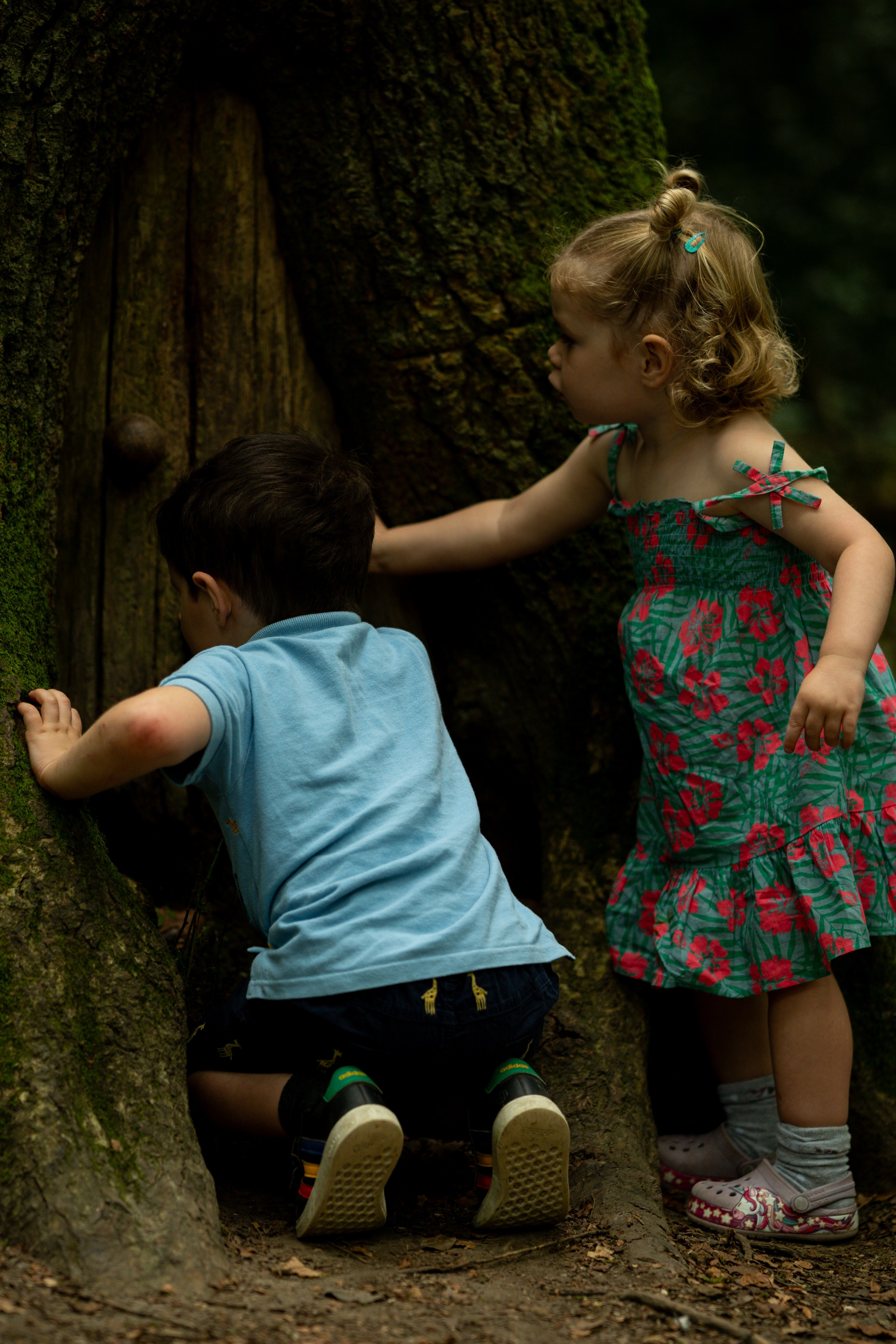 Family. Ryan Hewitt Photographer