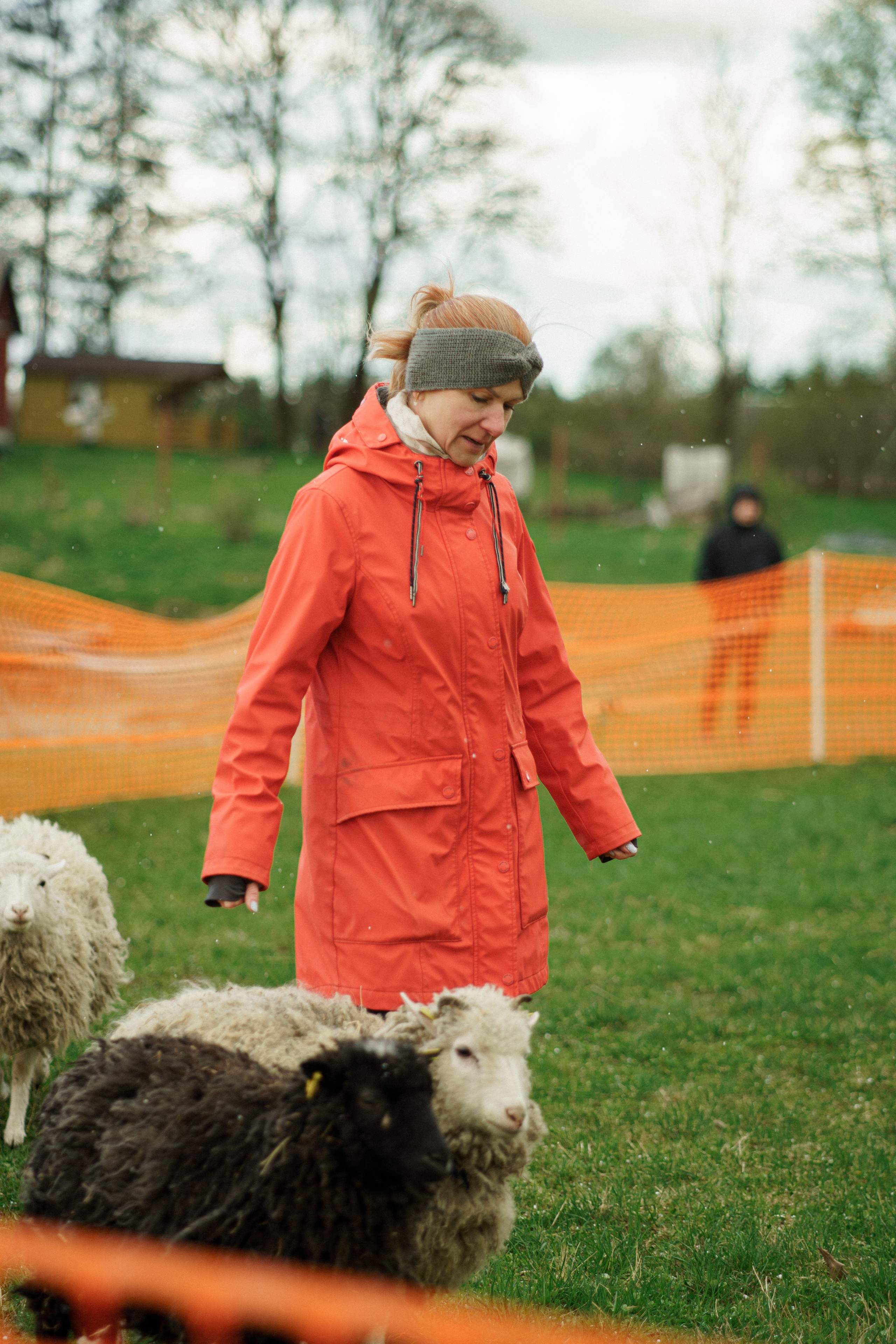 Herding Days, 26 apr. 2025. Kat Laisaar — Pet photographer in Tallinn