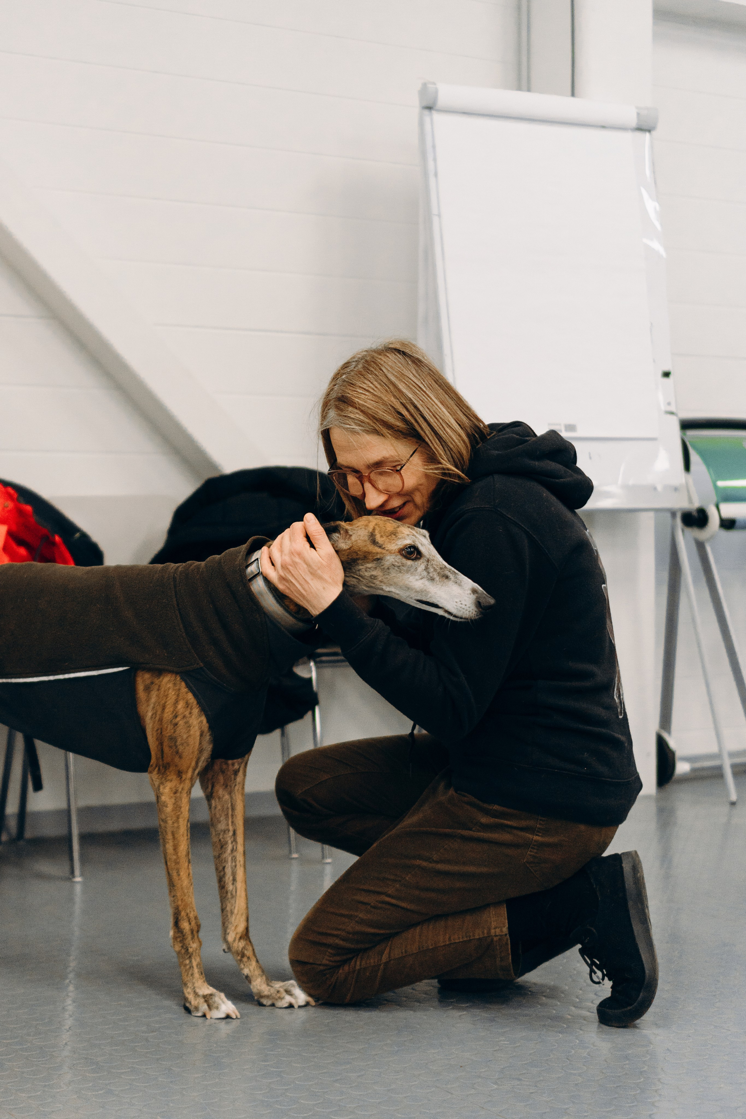 GalgoTreff / PetCity Rannamõisa, 13 apr. 2025. Kat Laisaar — Pet photographer in Tallinn