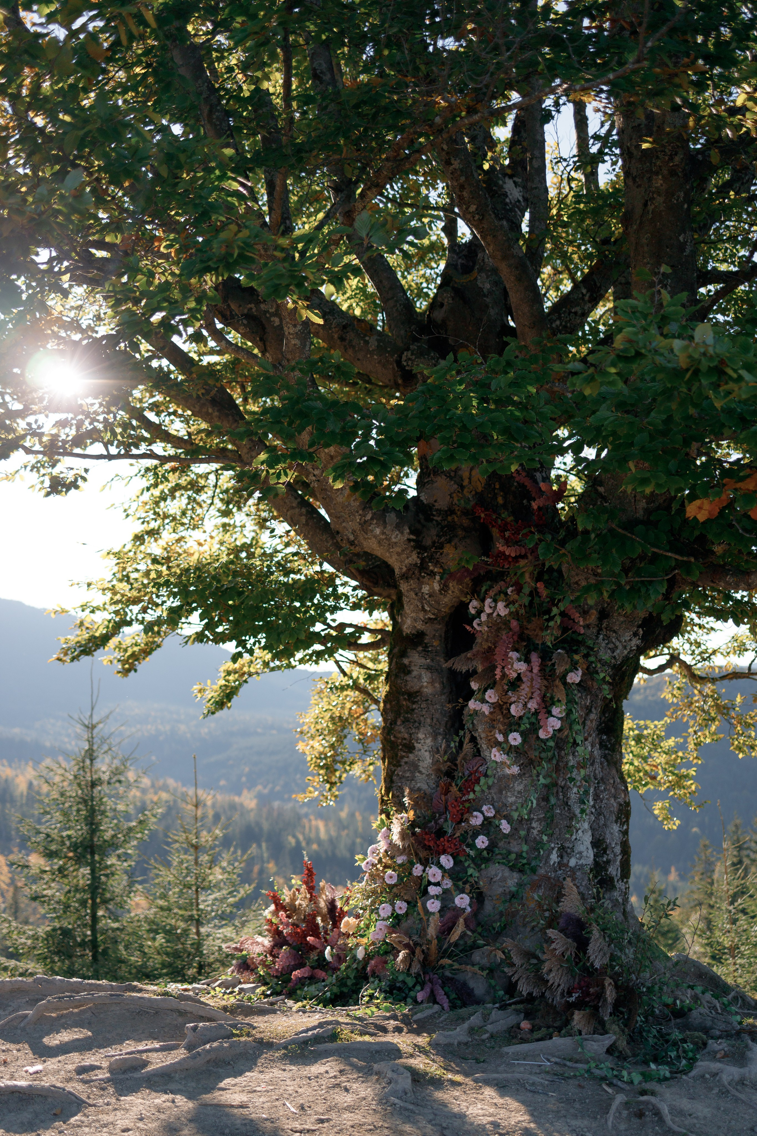 Марія & Дмитро. Весільний та сімейний фотограф Одеса