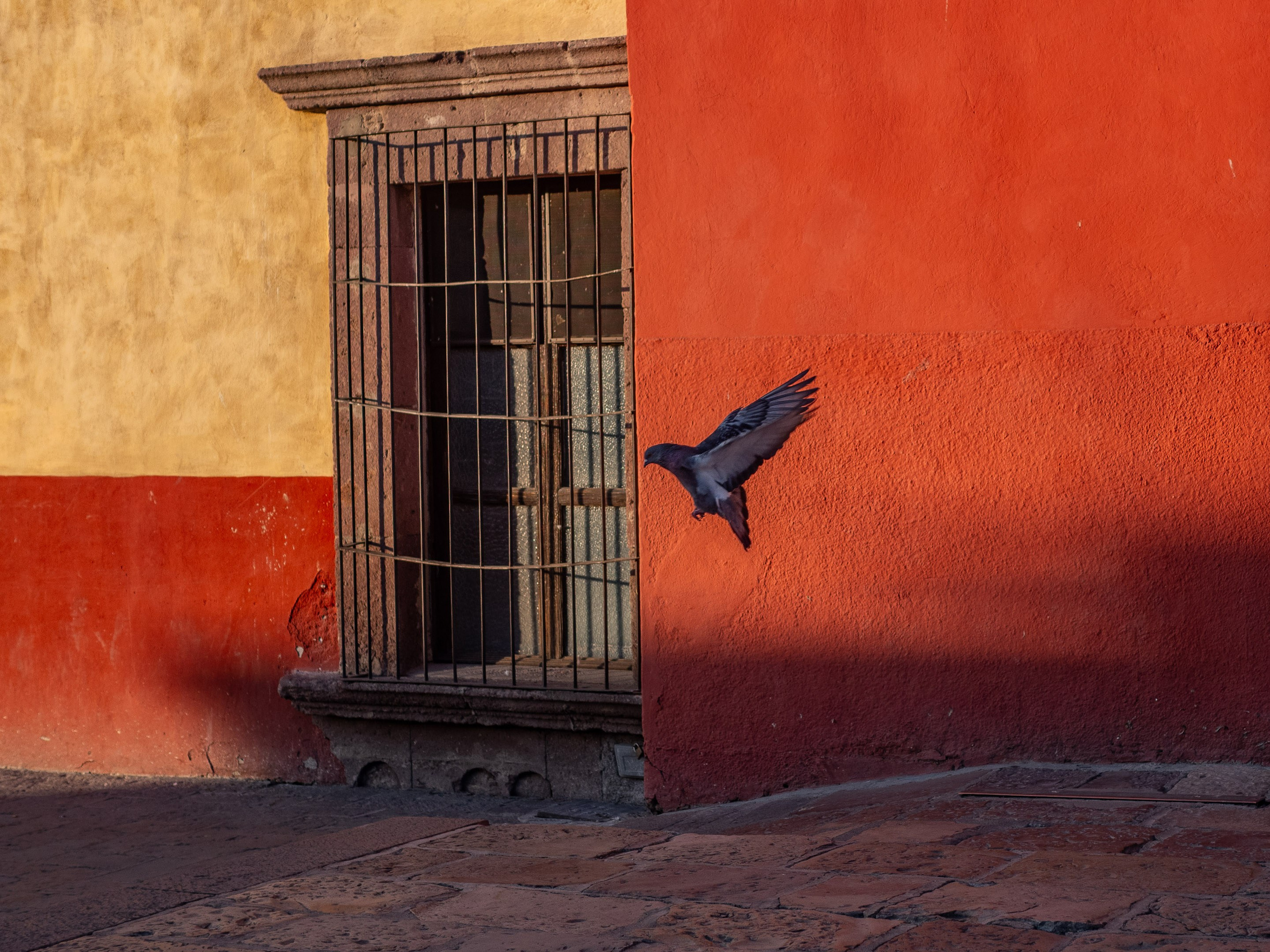 San Miguel de Allende, Mexico. Federico Borobio, street and documentary photography.