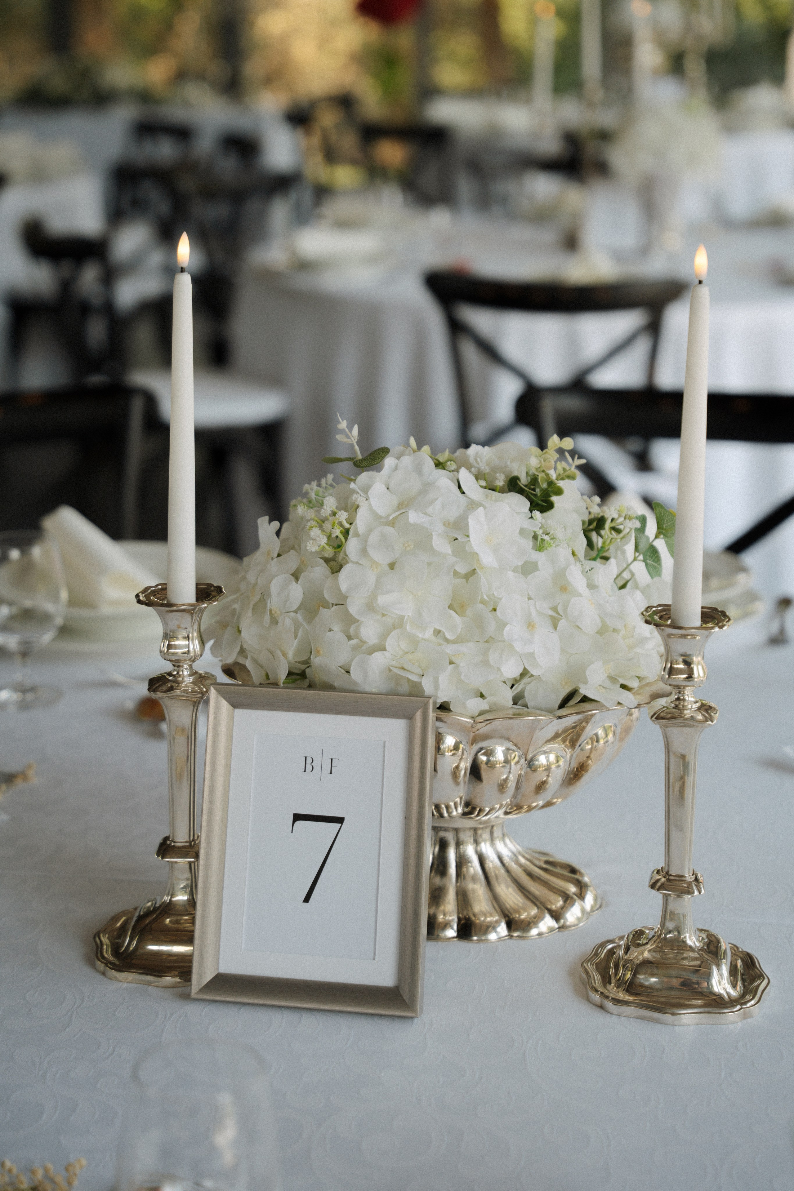 Beatrix és ferenc album. Csilla visuals