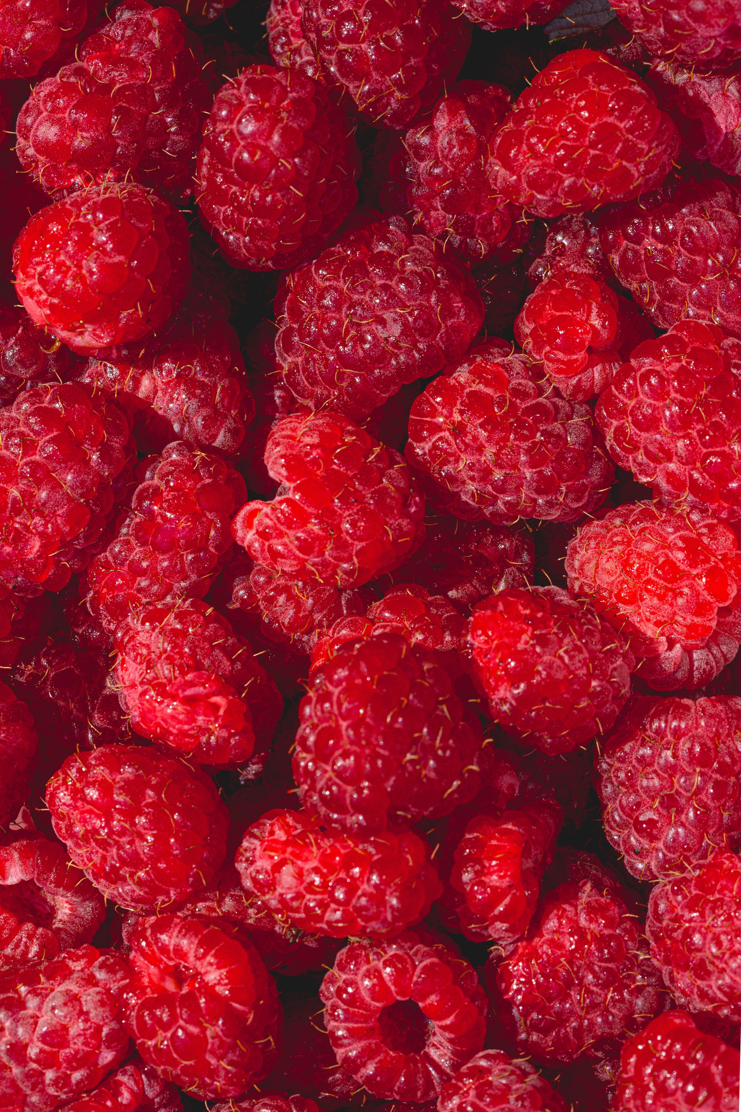 Контентная съёмка: азиатское бистро «Mao-Mao». Arina Leonova — Food photographer Tbilisi