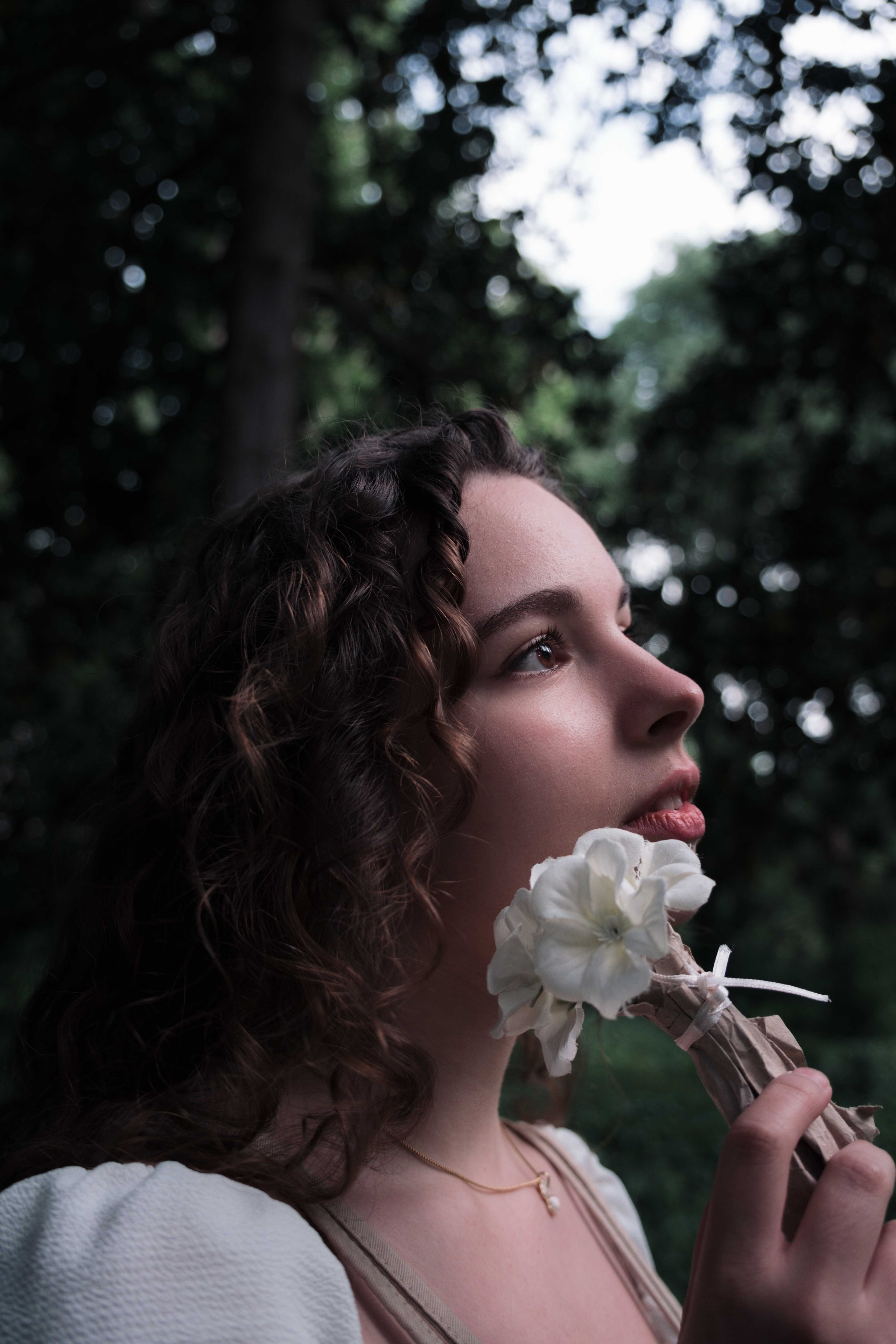 Ediciones. Madrizfilm / Fotógrafo en Madrid