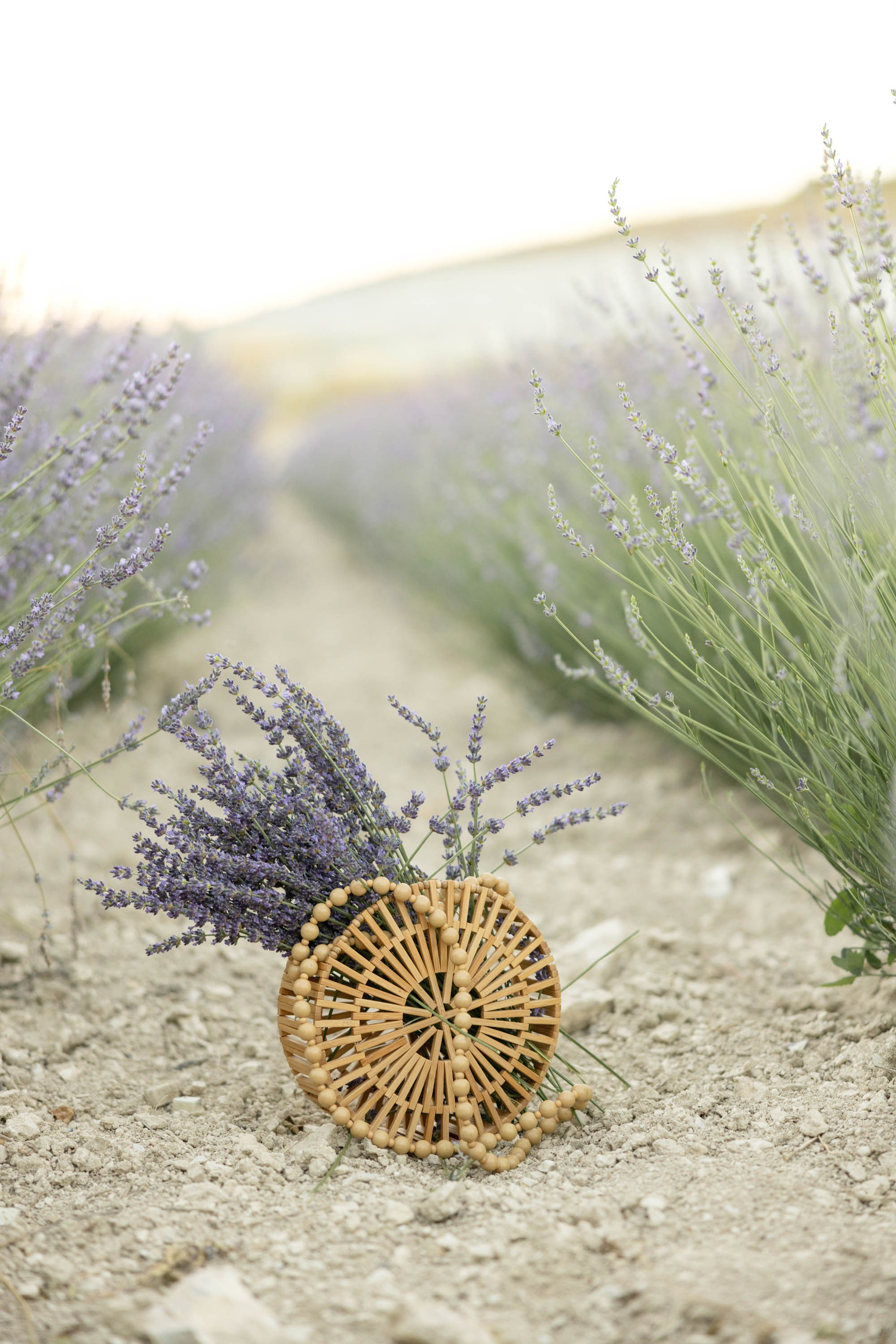 Dreamy Photoshoot in a Lavender Field. Julia Ganch I Fashion Wedding Photography I Cappadocia Turkey