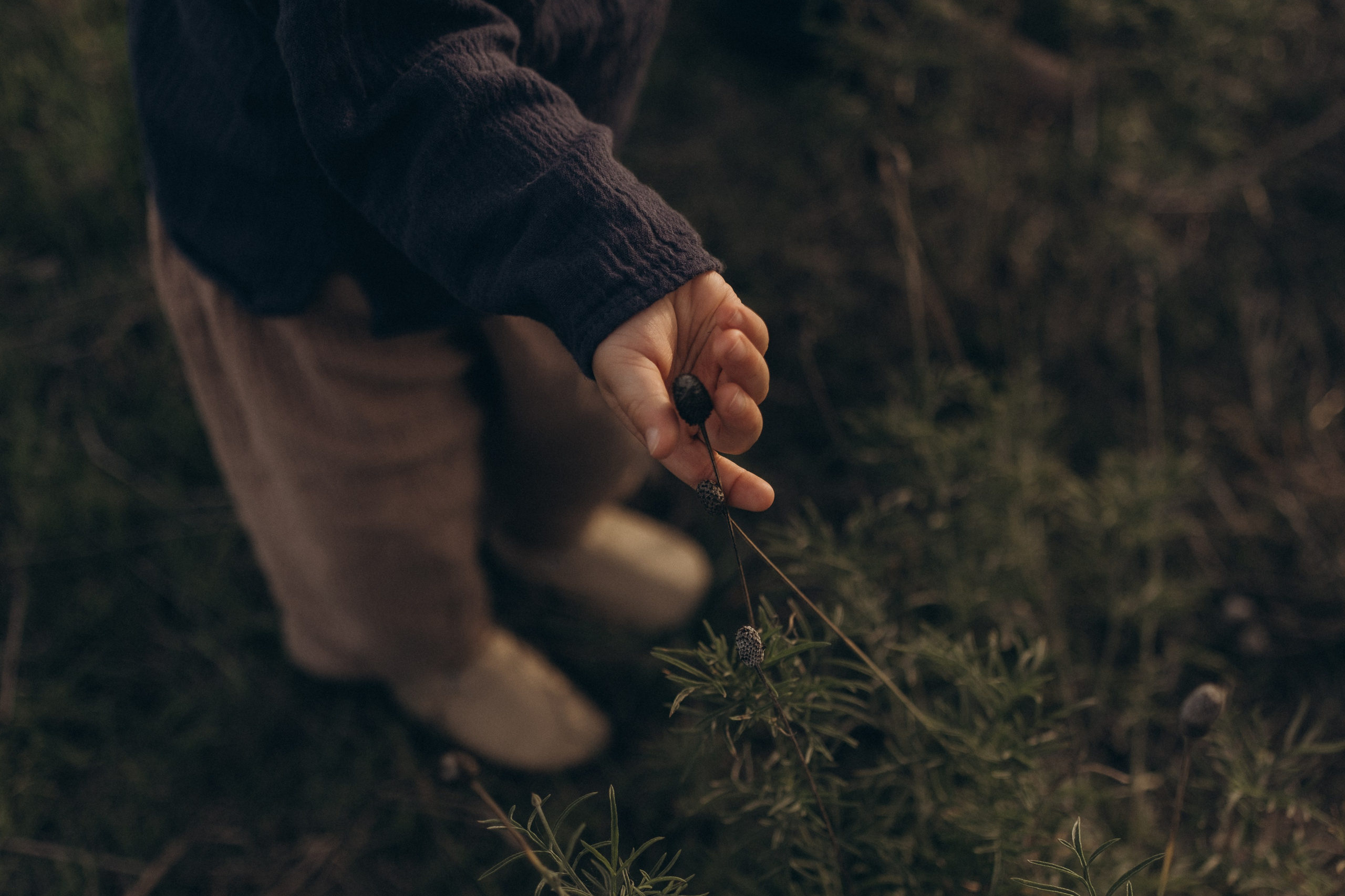 December. Lens Captures Life