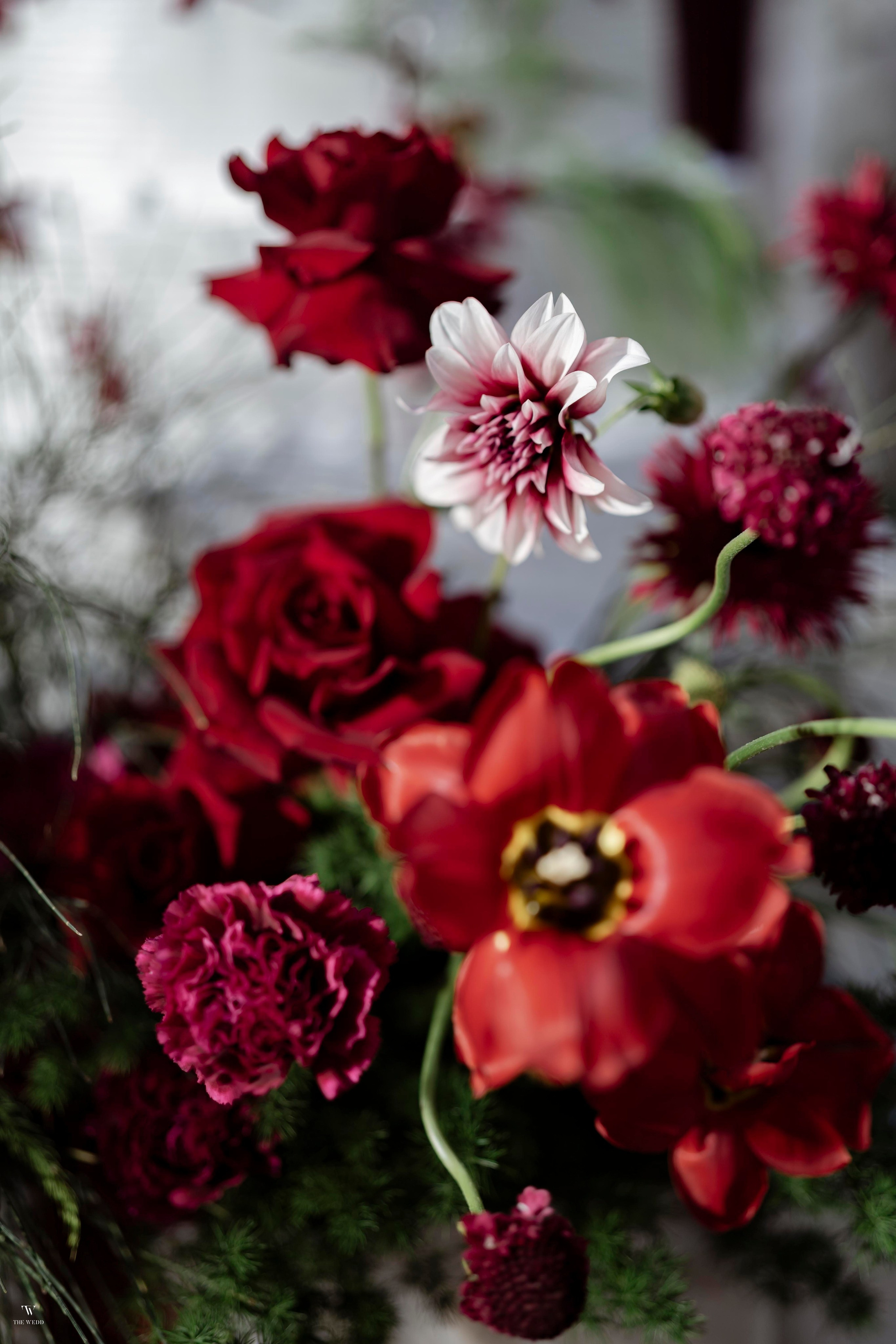 NGHIA & NGOC. WEDDING PHOTOGRAPHER IN VIETNAM