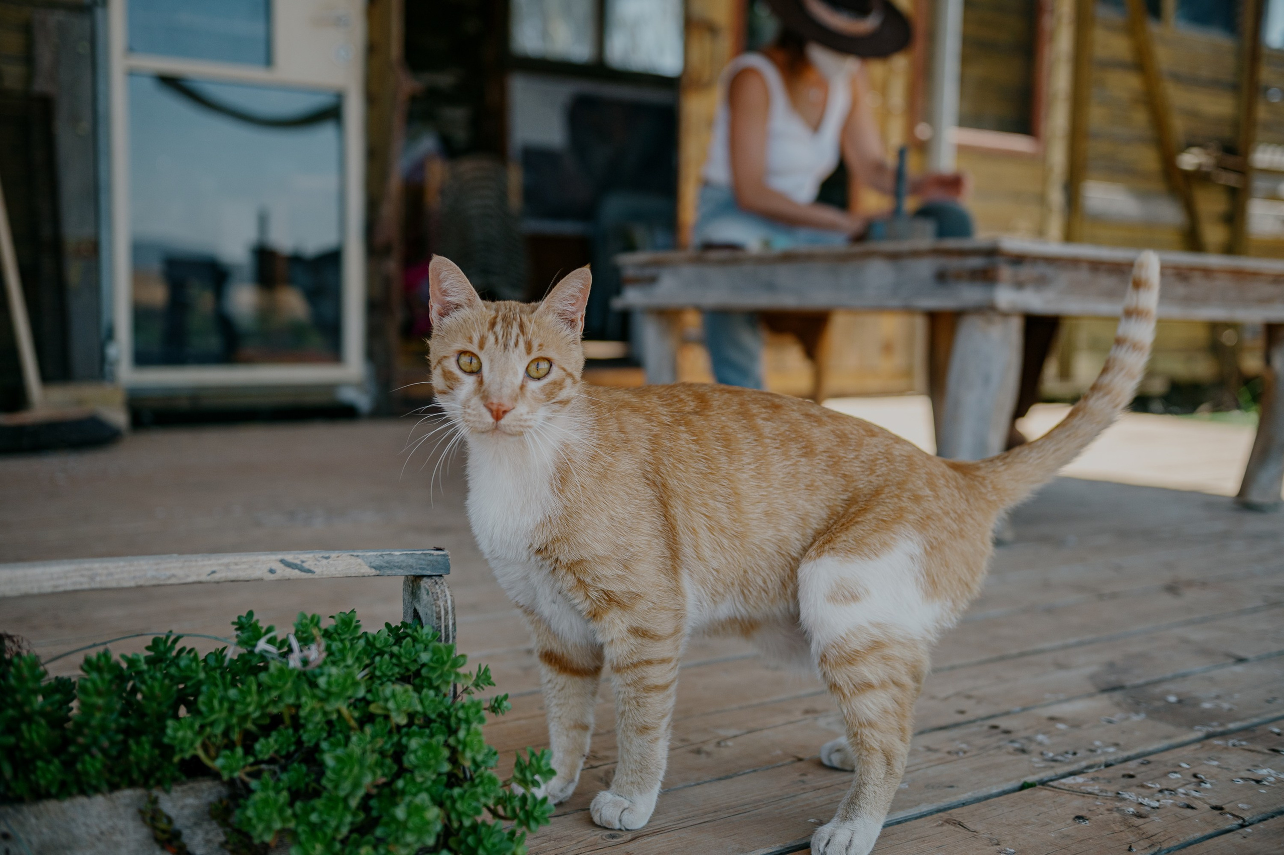 ZoZo. Portrait photografer in Montenegro
