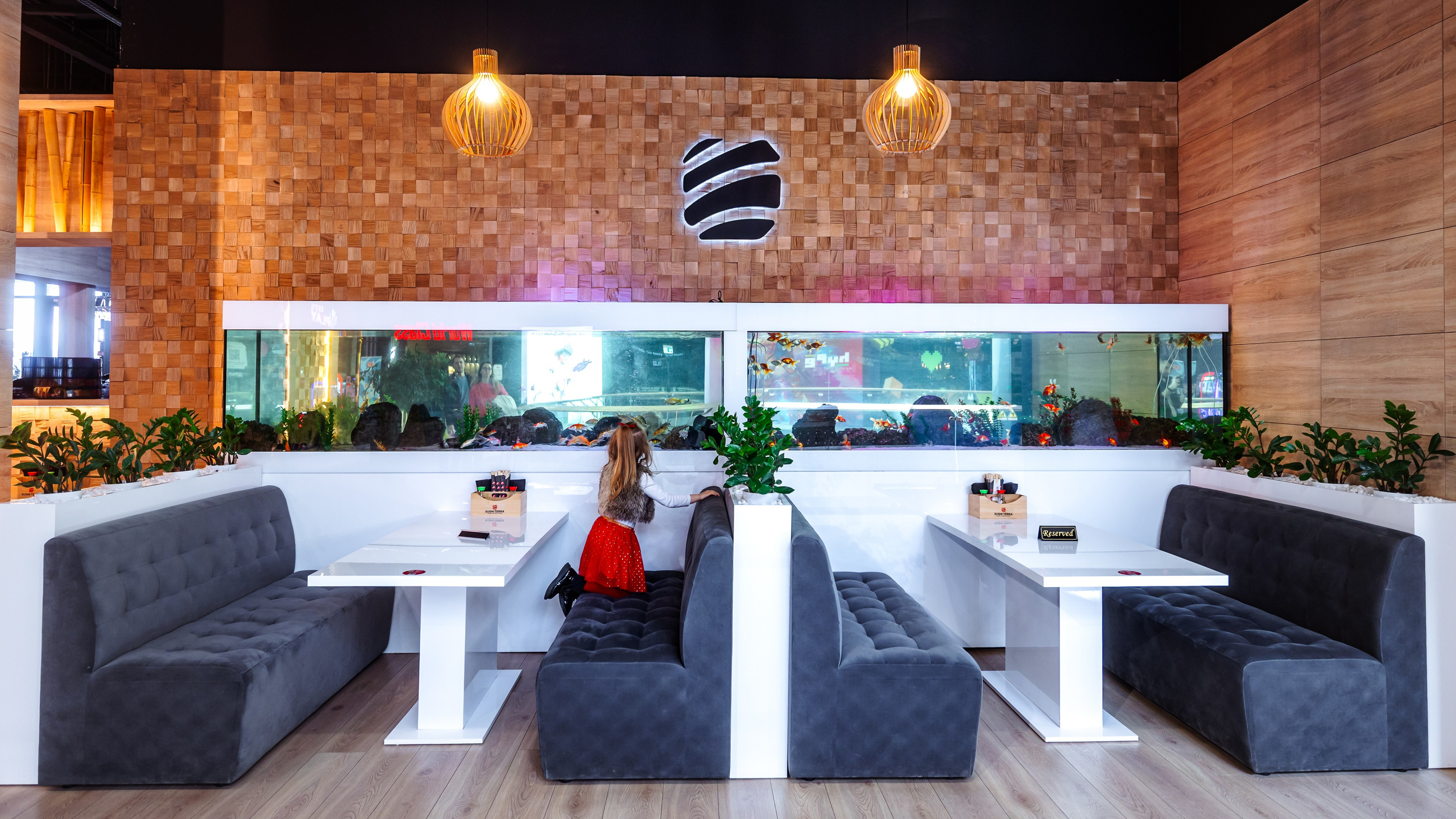 Sushi Terra. Marius Ciocan