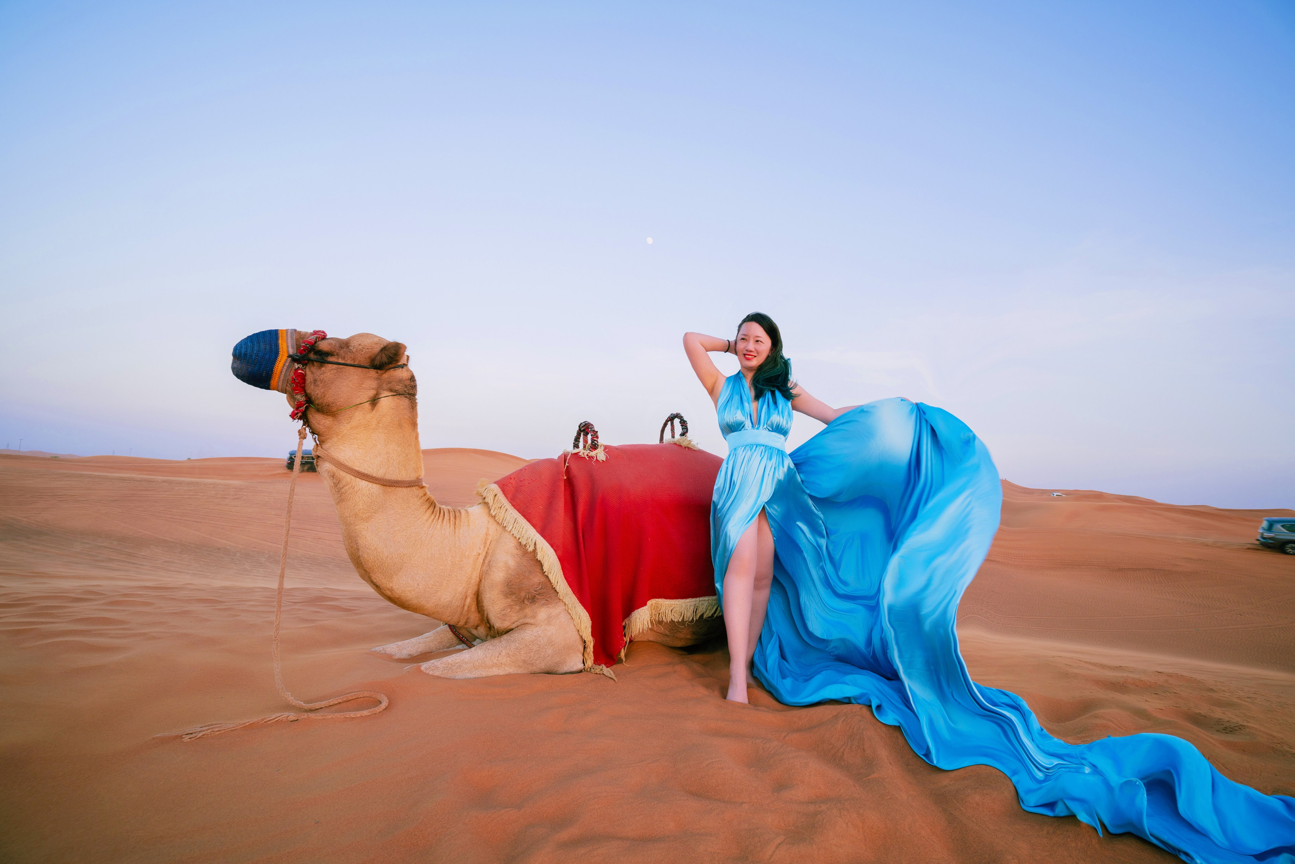 With horses and camels. Photographer and videographer in Dubai Dmitry Gromov