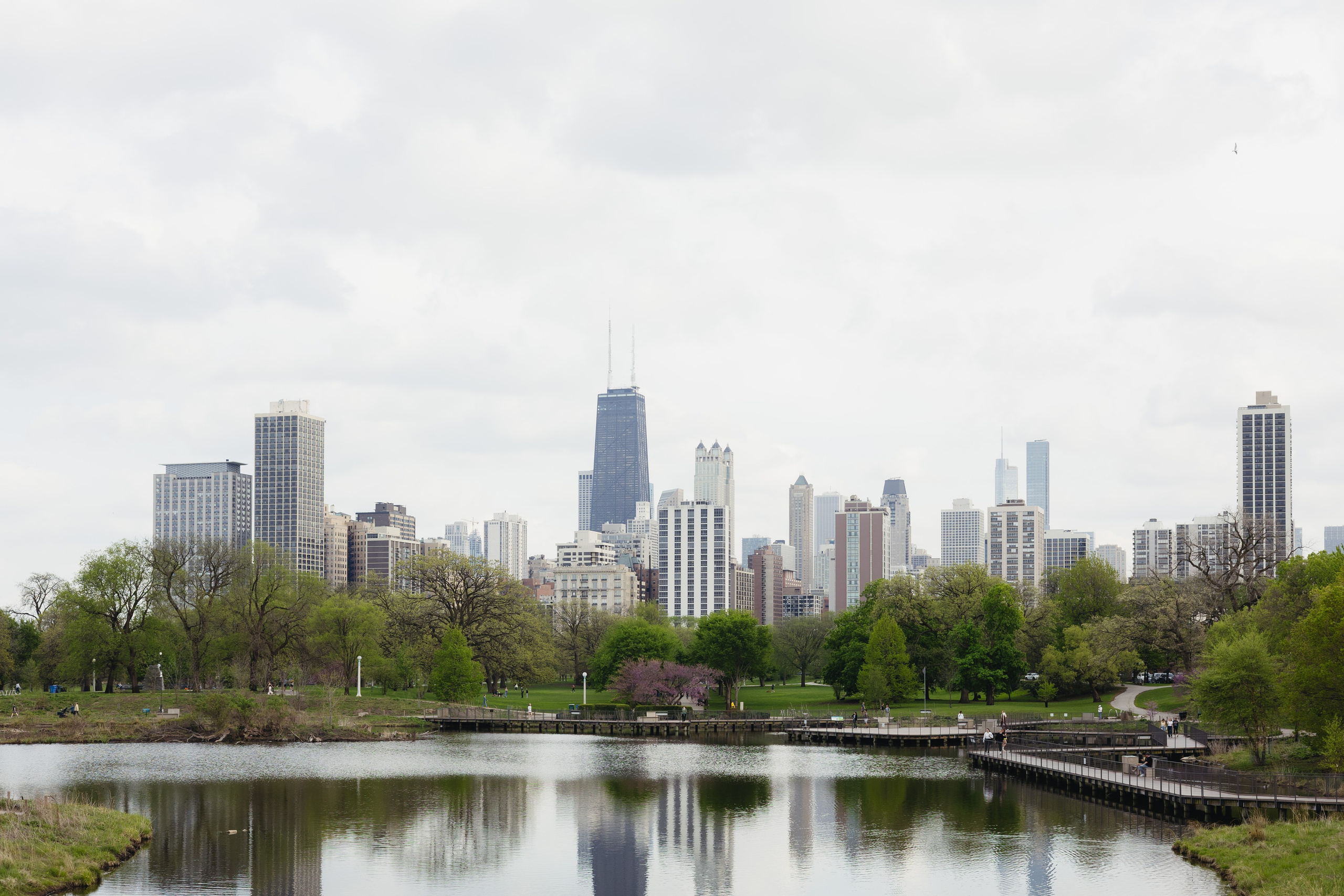 Lincoln Park Proposal — Savannah&Trevor