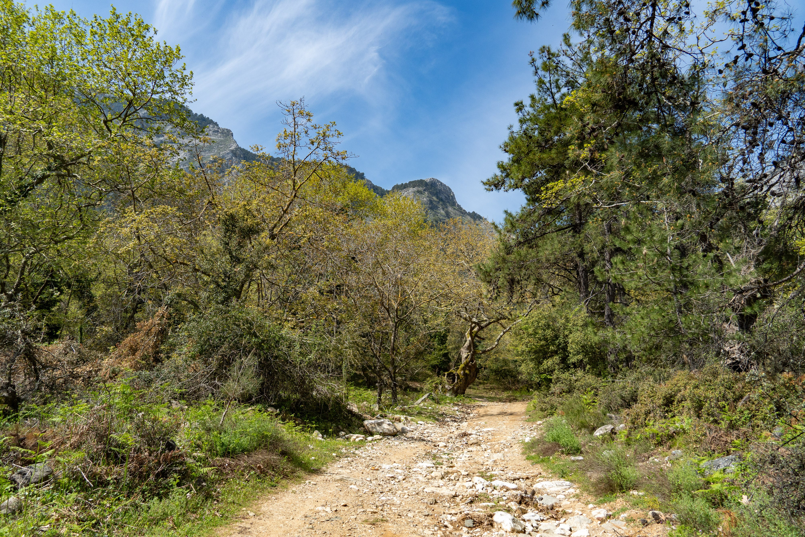 Thasos 2025. Fotografiideplacere.net