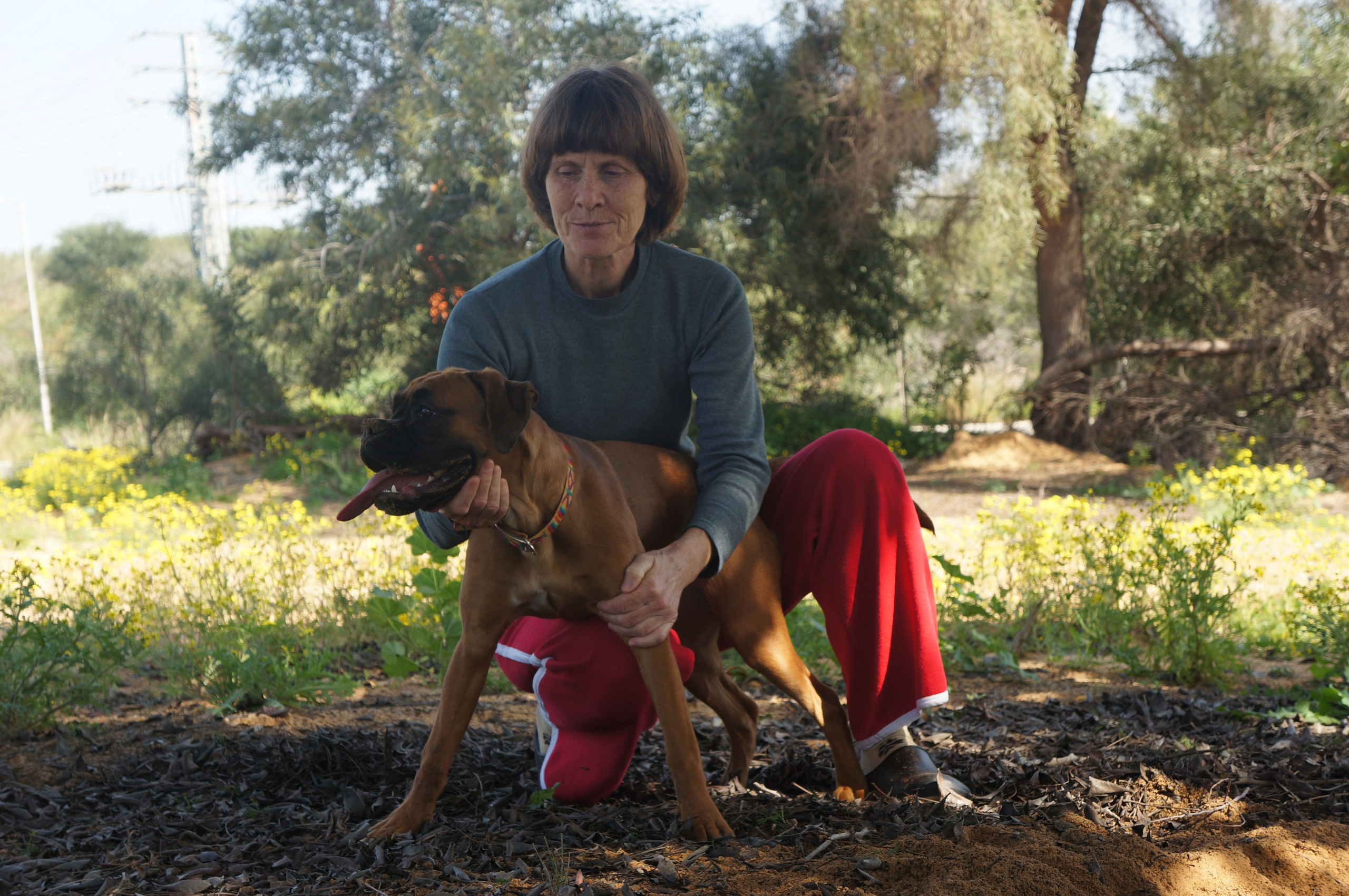 My ״Star״ Boxer Dog