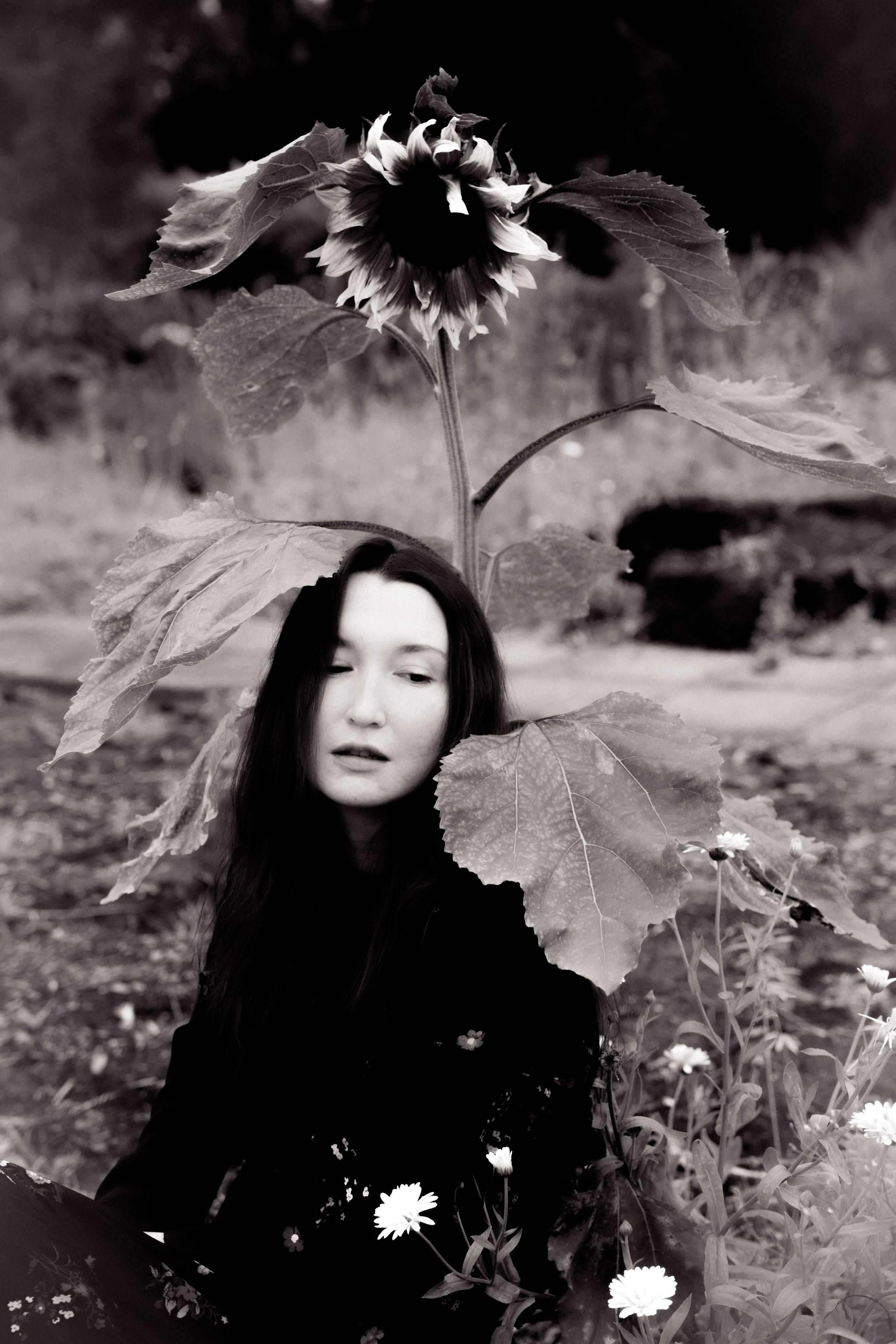 MALIKA. Anna Omni — concept photographer and digital artist in Riga, Latvia