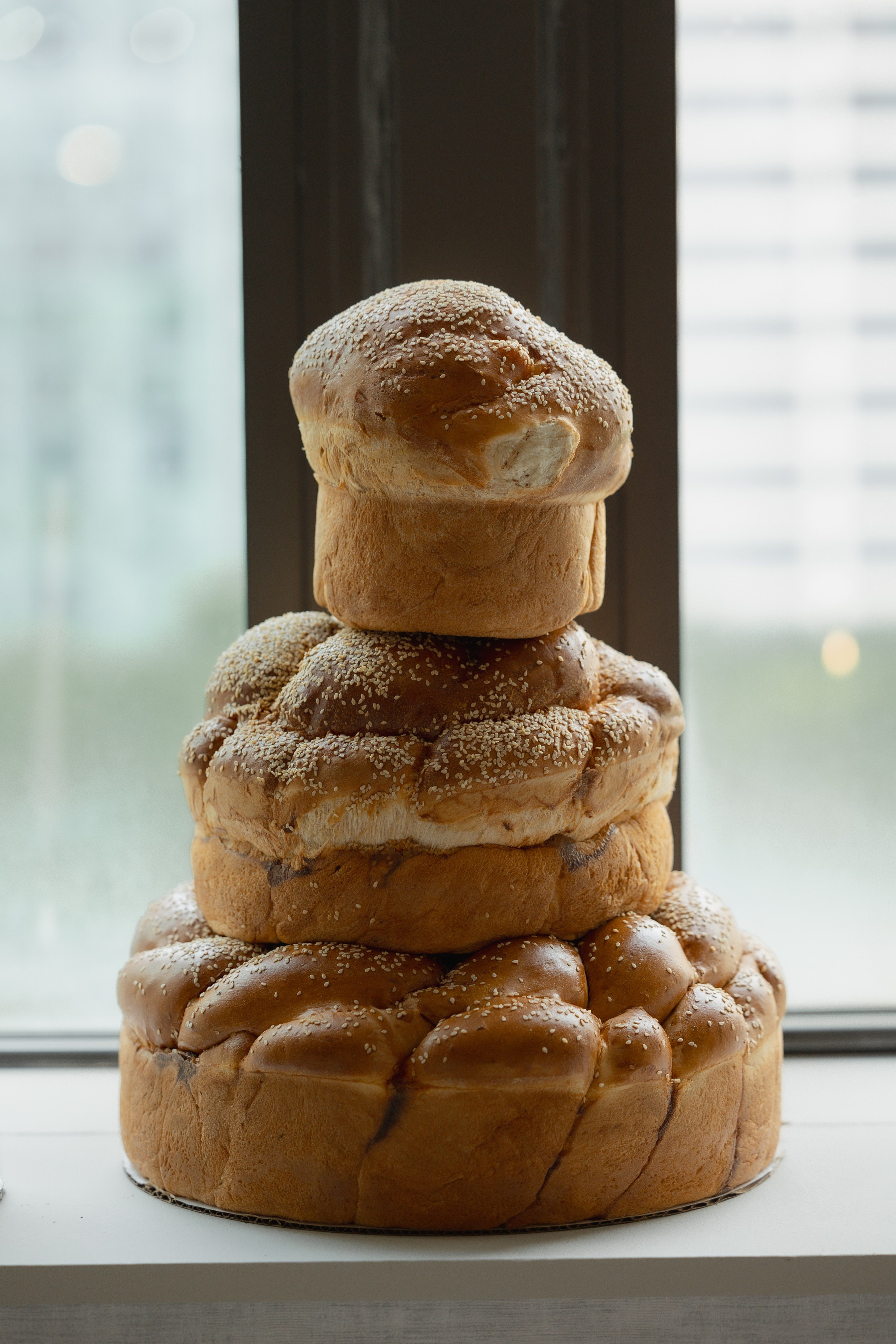 Amir and Maya. Anna Krasnova Wedding photographer