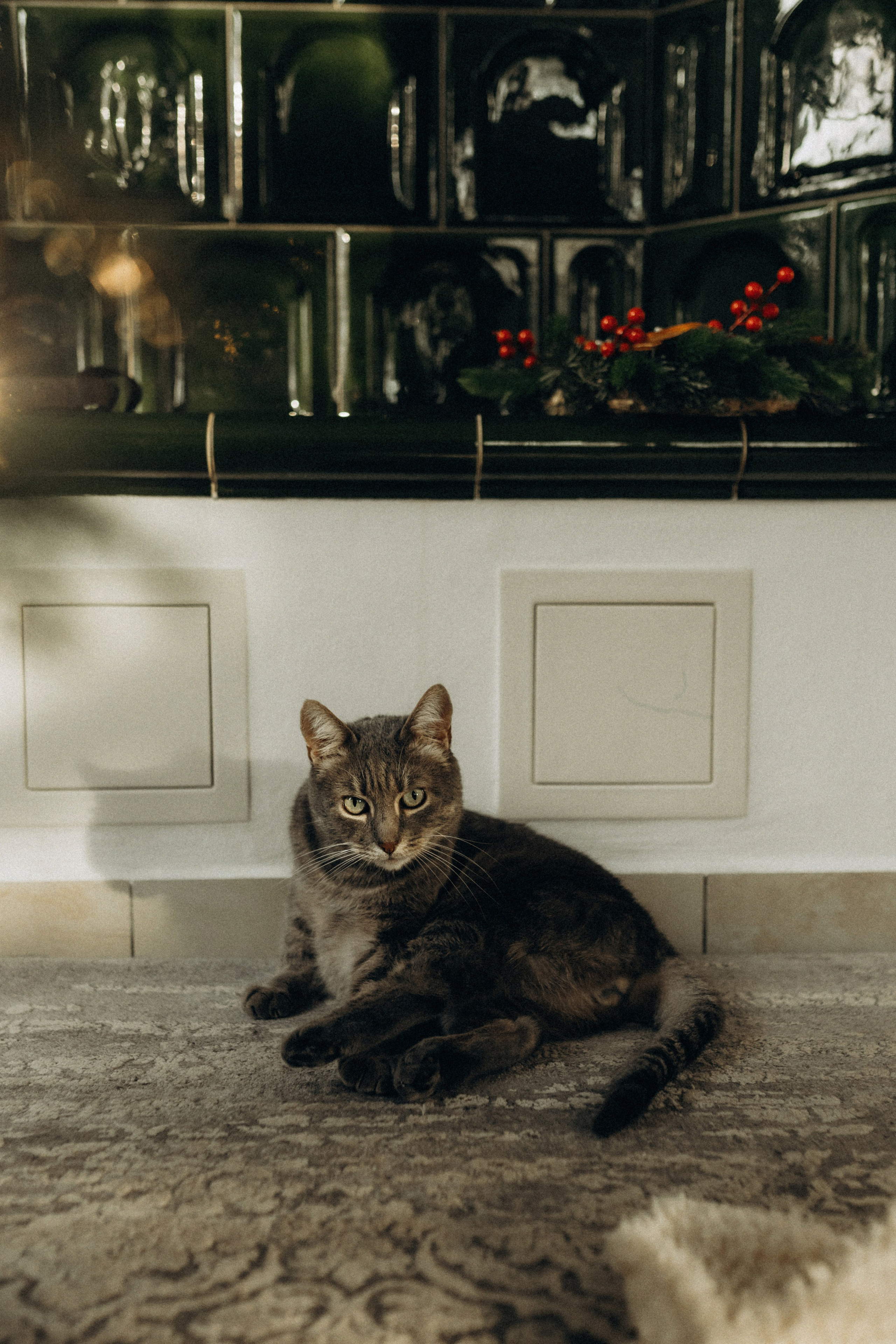 Новогодняя домашяя фотосессия. Семейный фотограф Лейпциг, Германия