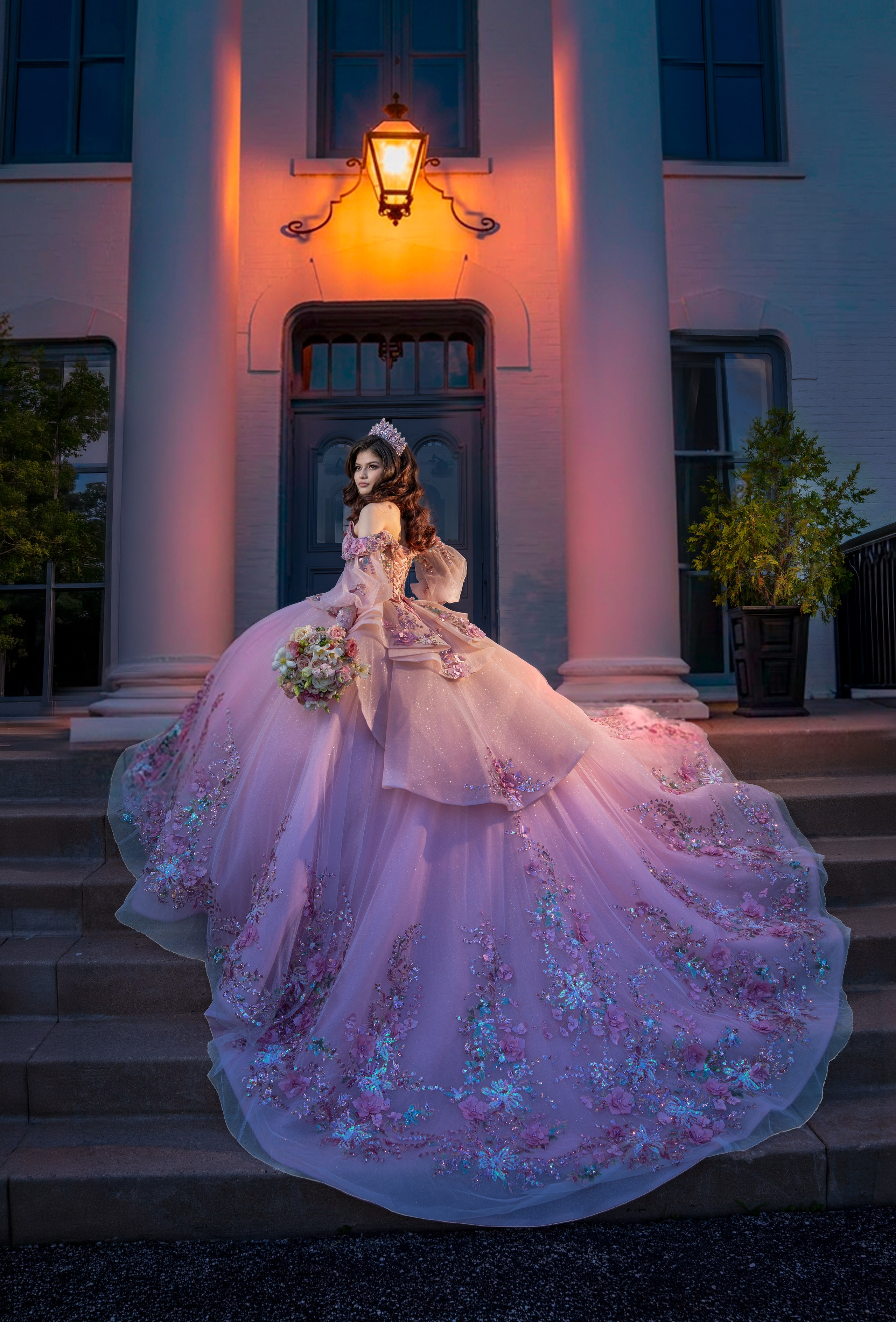 BRIANY XV. Quinceañera y Bodas