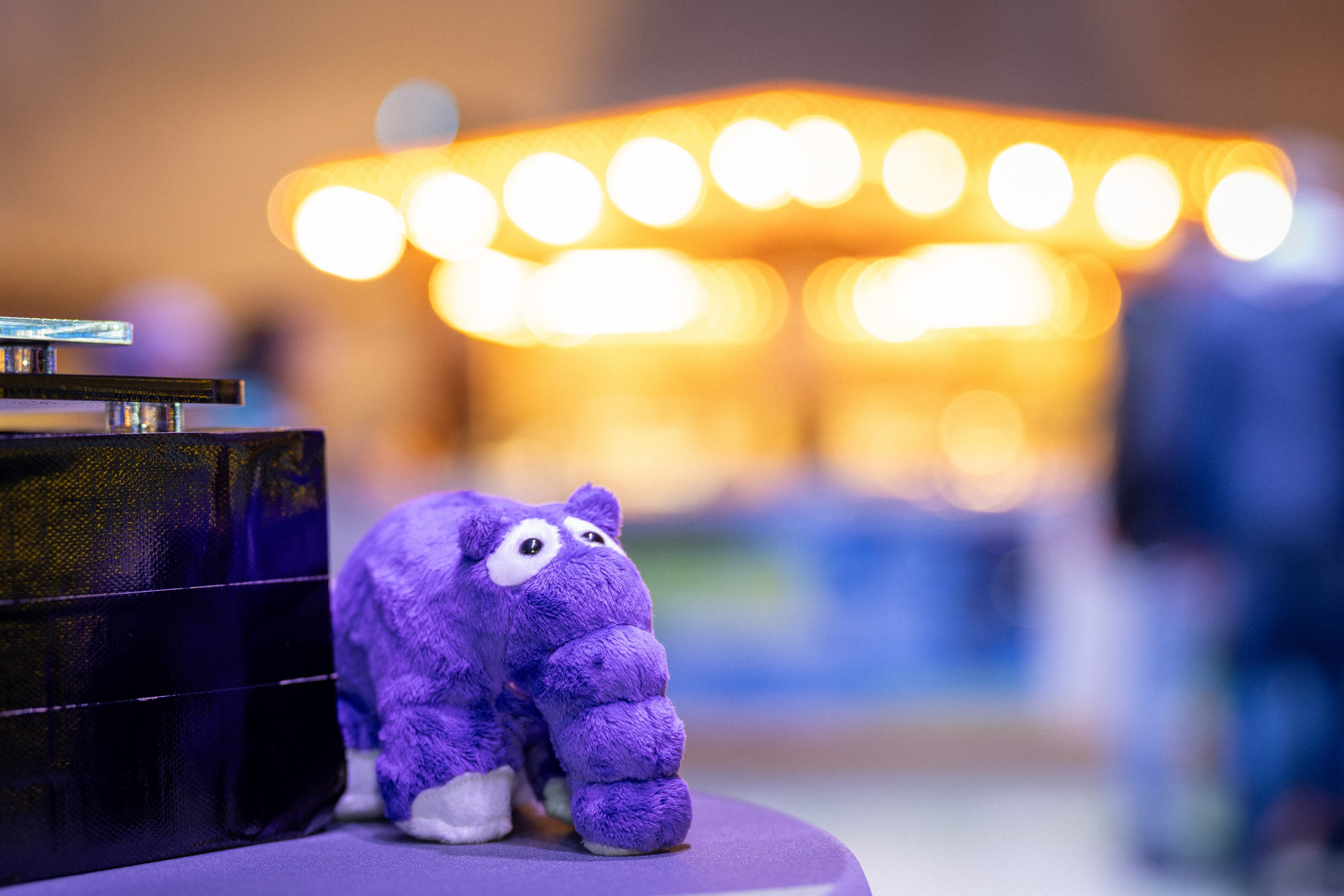 Leistungen. Thorben Ihler - Dein Fotograf aus Emden