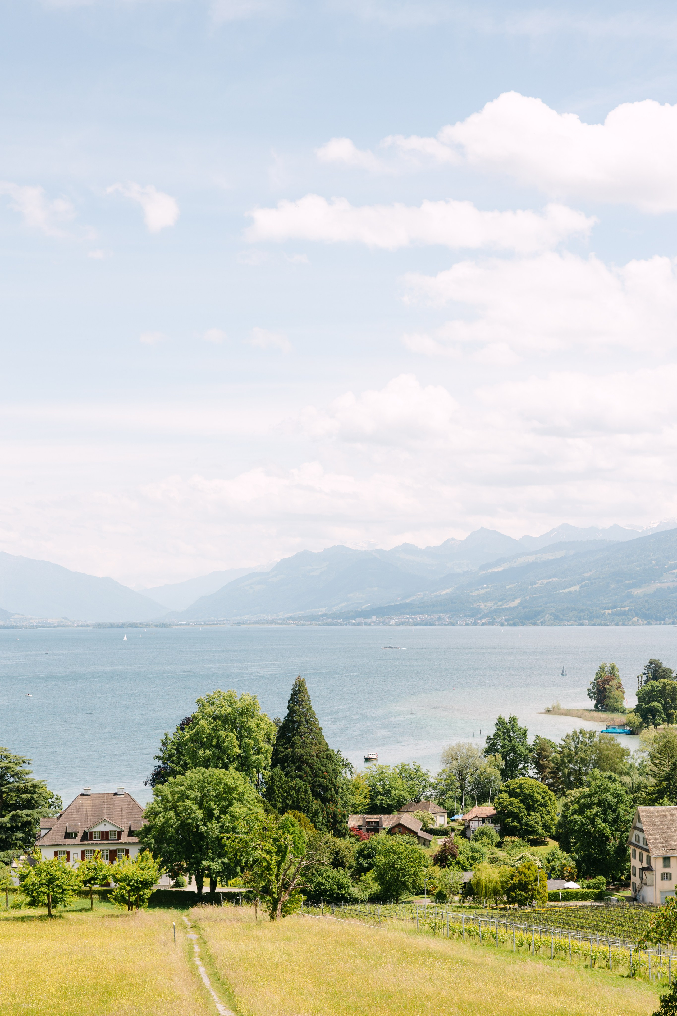 Unvergessliche Hochzeit am Zürichsee: Landgasthof Halbinsel Au. Familien- & Hochzeitsfotografin Schweiz. Valeria Diaz in Zürich und Umgebung