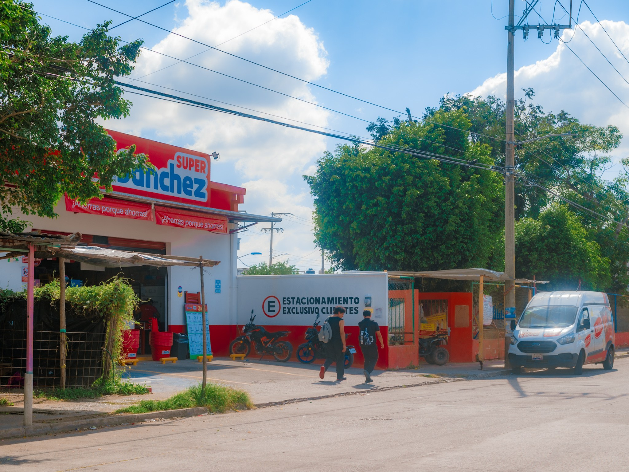 Estrellas de Buena Vista. 2025. Fotógrafo en Villahermosa | ERALPUCHE