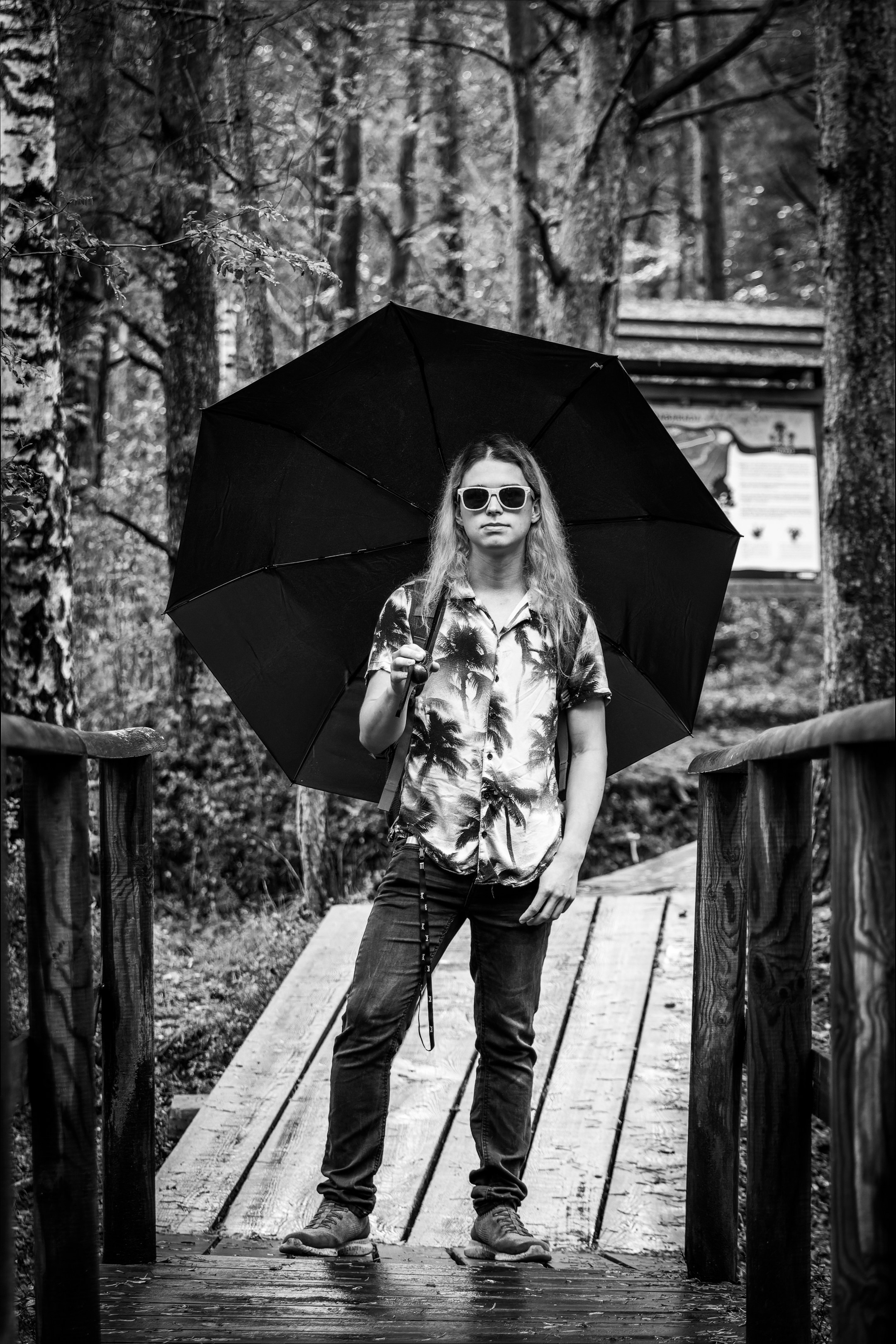 Mets, vihm ja jahedus (Dimitry). Nebula 25 — Fotod teie hingele