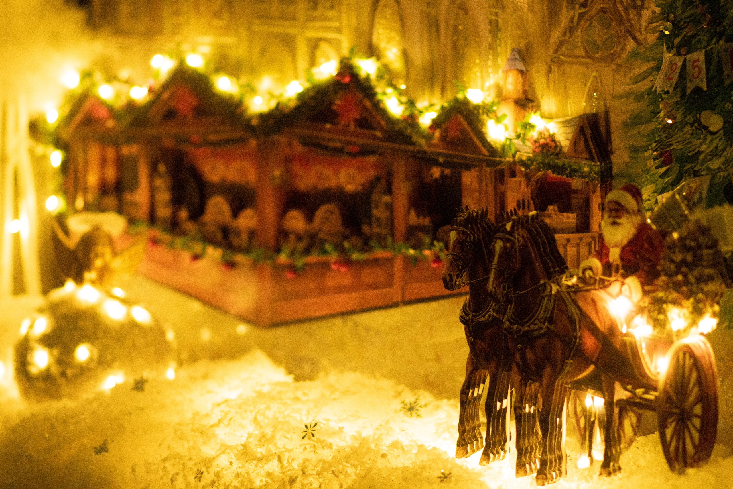 Проект. Семейный и детский фотограф