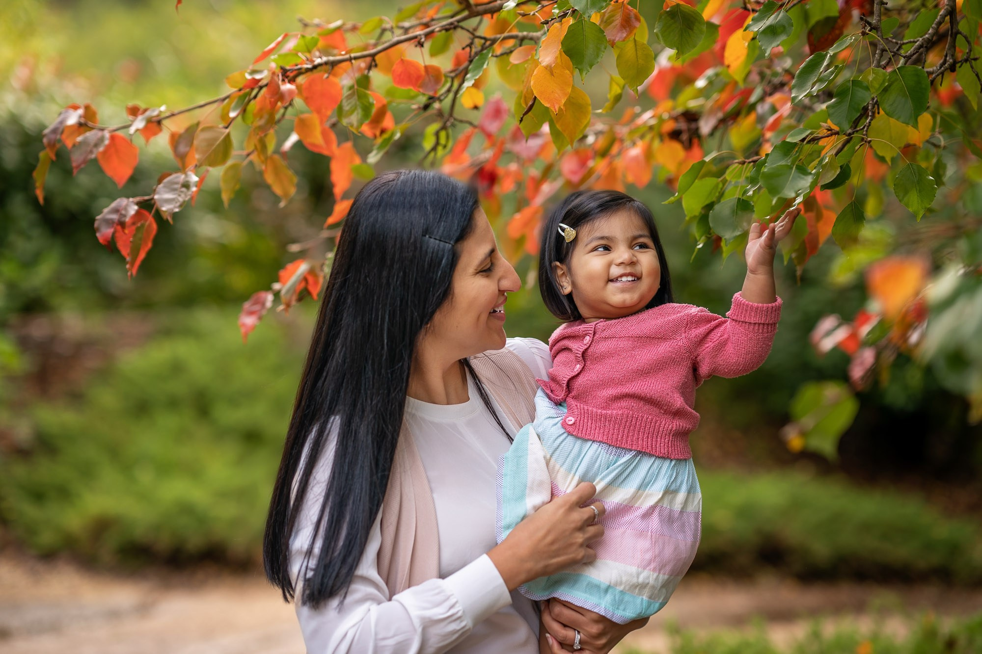 Autumn Family Photography in Sydney. Family and Maternity Photography in Sydney, Hills District