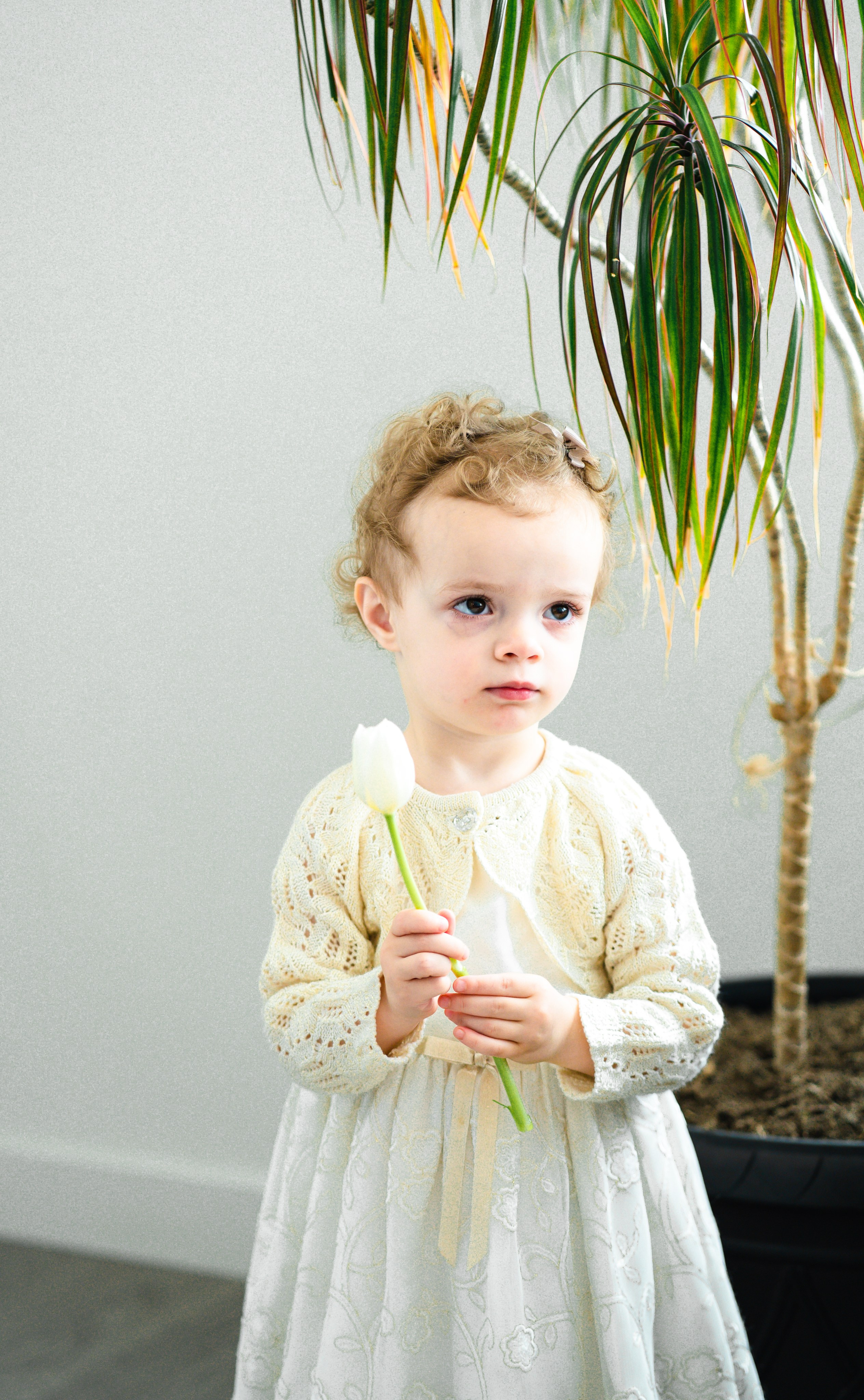 Milish Family. Sacramento Photographer — Olga Maltseva based in California