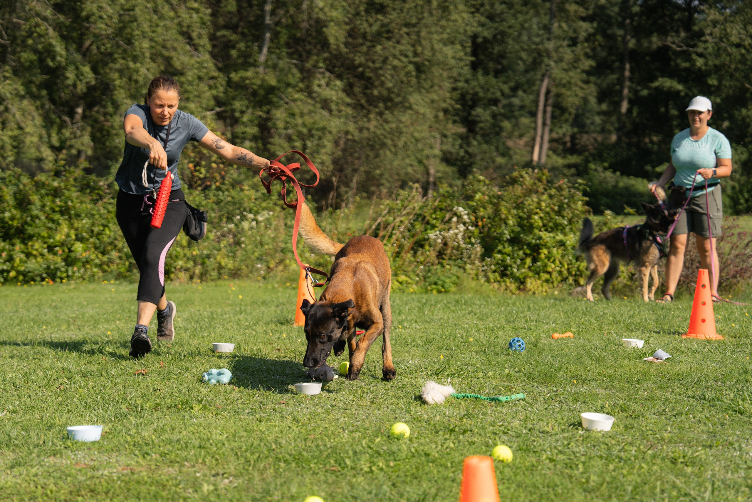 Heppi Dogo fest 2025. Vita Klimaševska ○ Fluffy Soulmate Photography