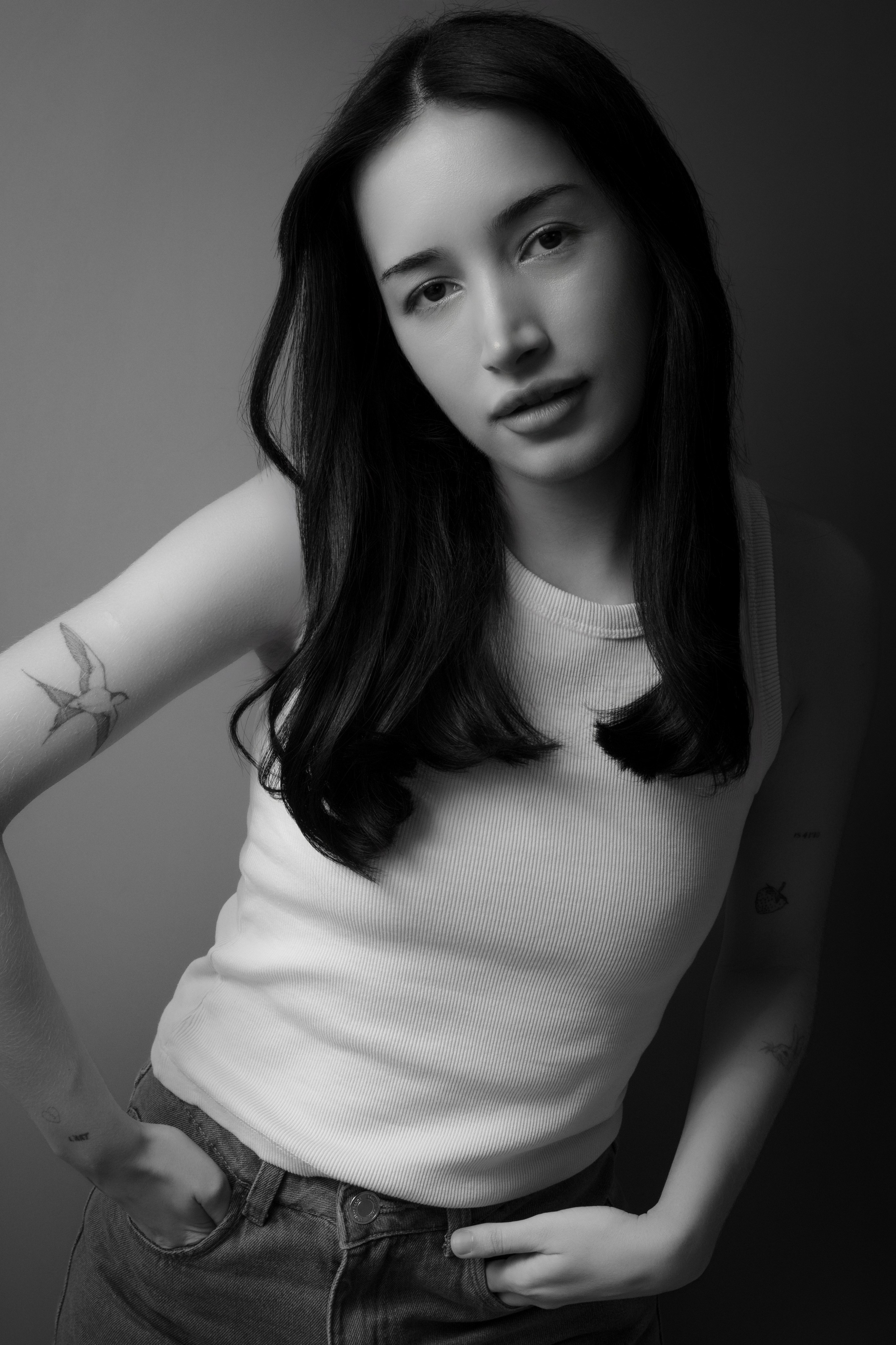 Ensaios. Fernando Giopato