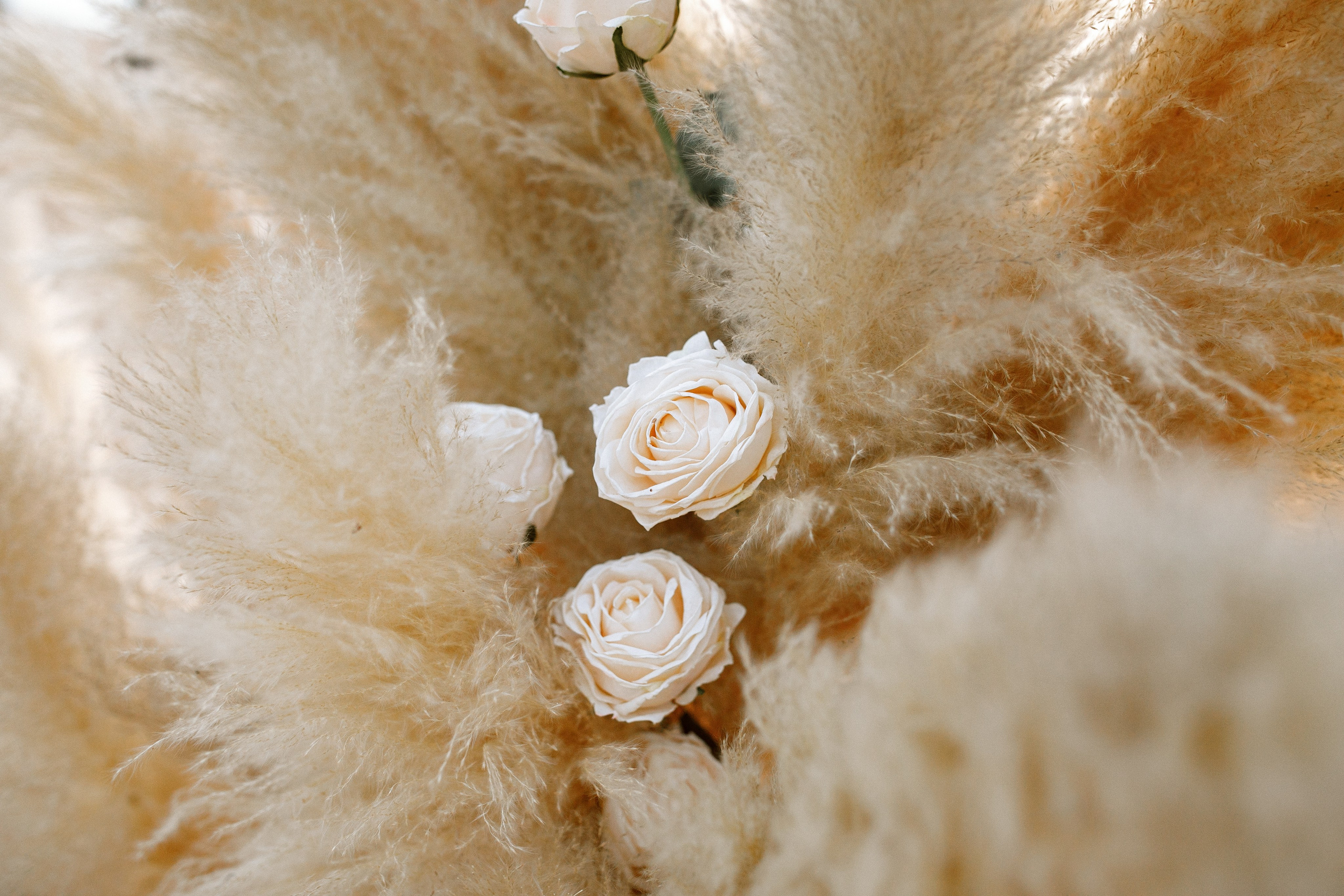 Антон + Оля. Свадьба в Таиланде Honey Moon Agency